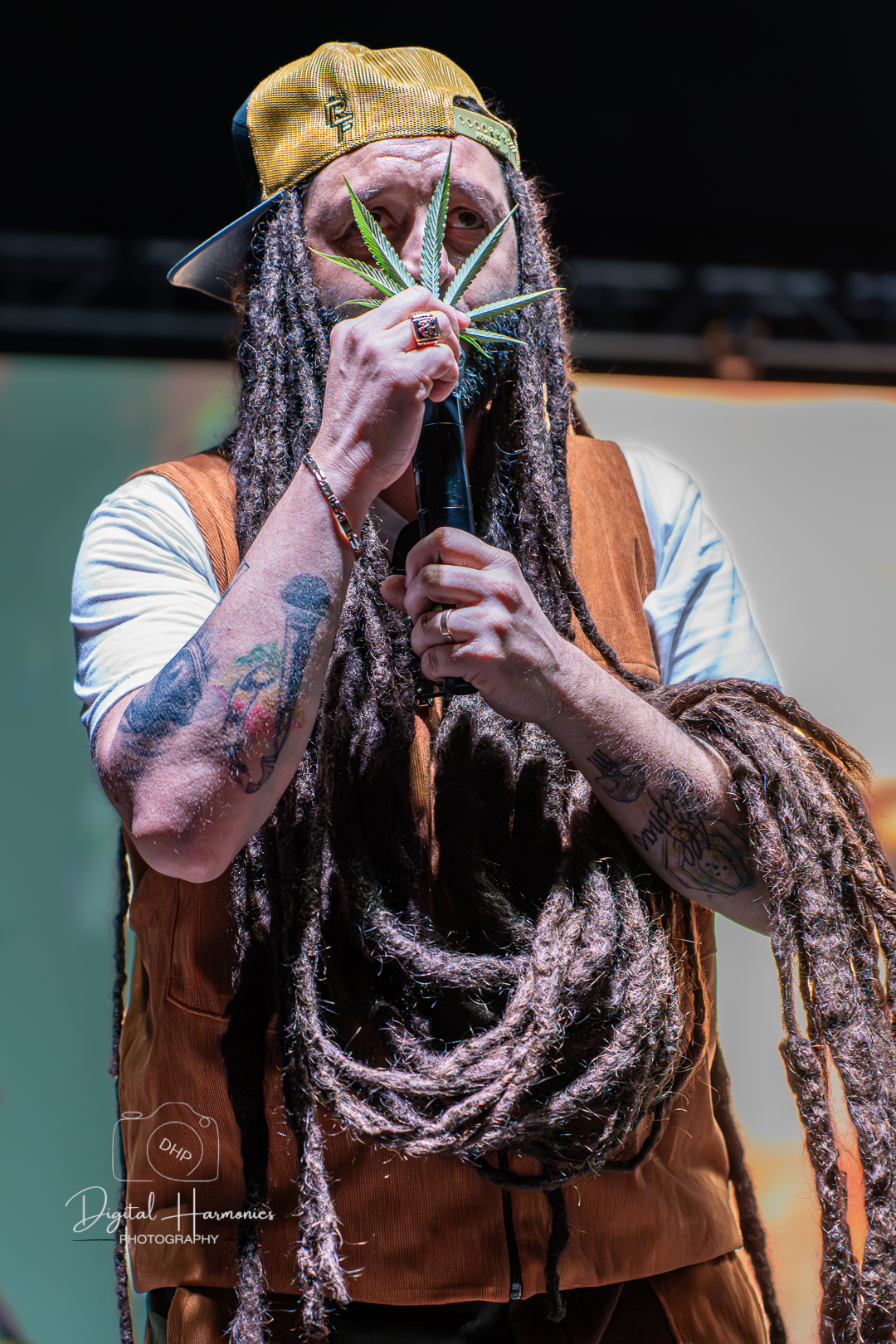 Alborosie