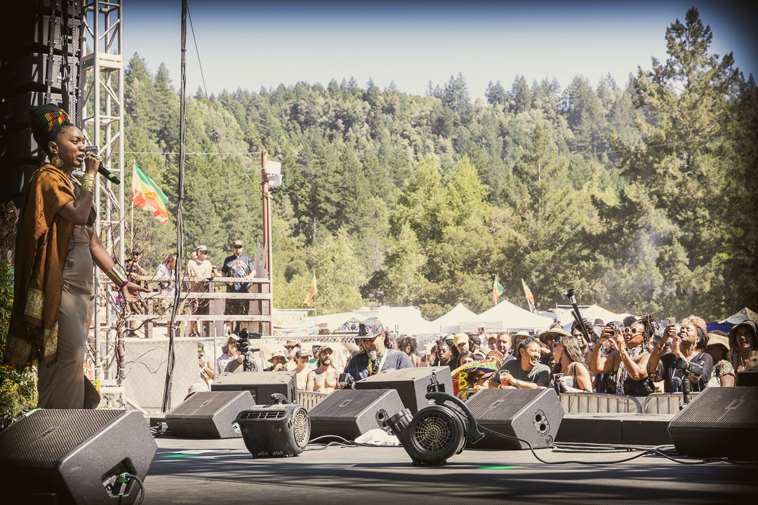 Hempress Sativa photo