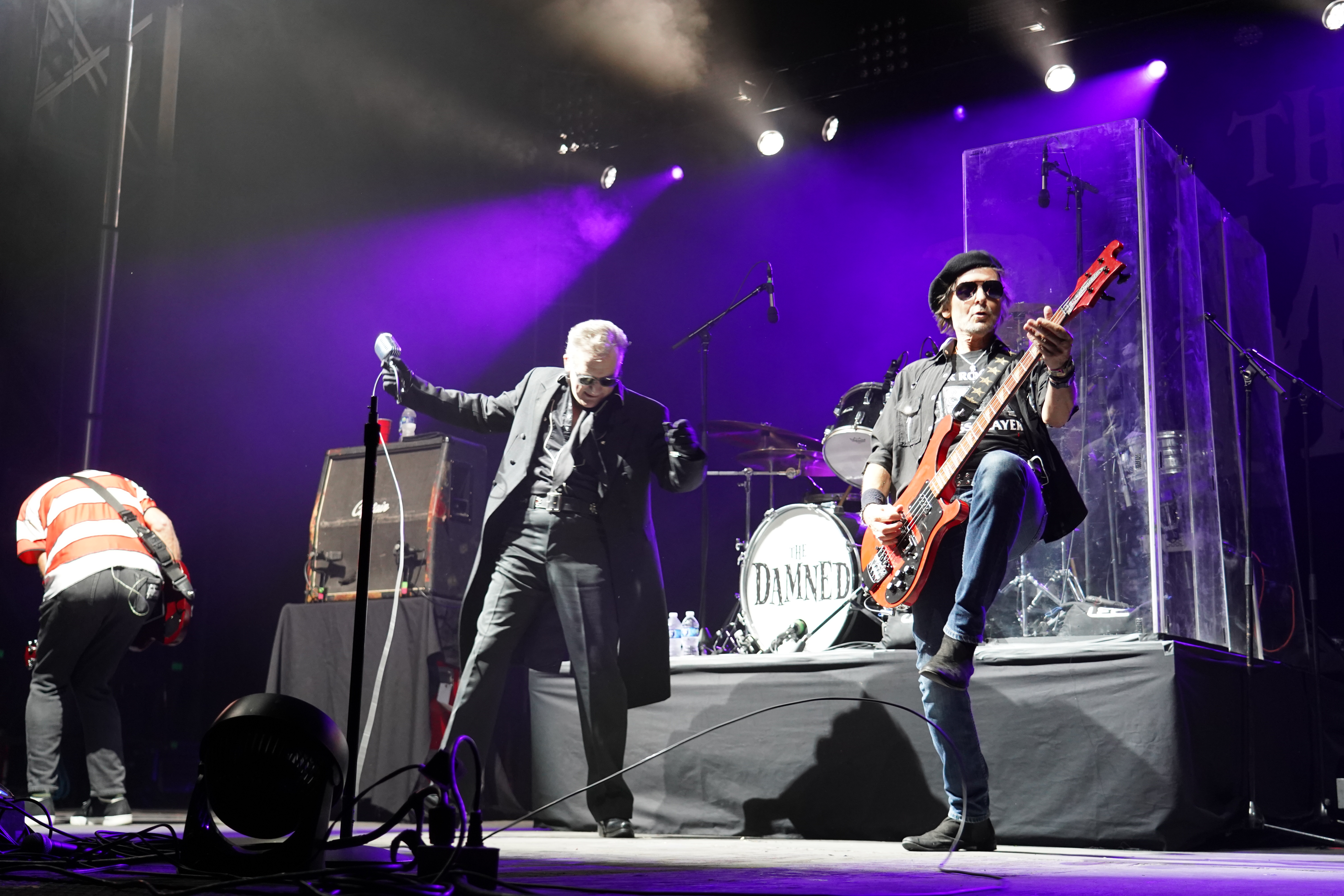 The Damned