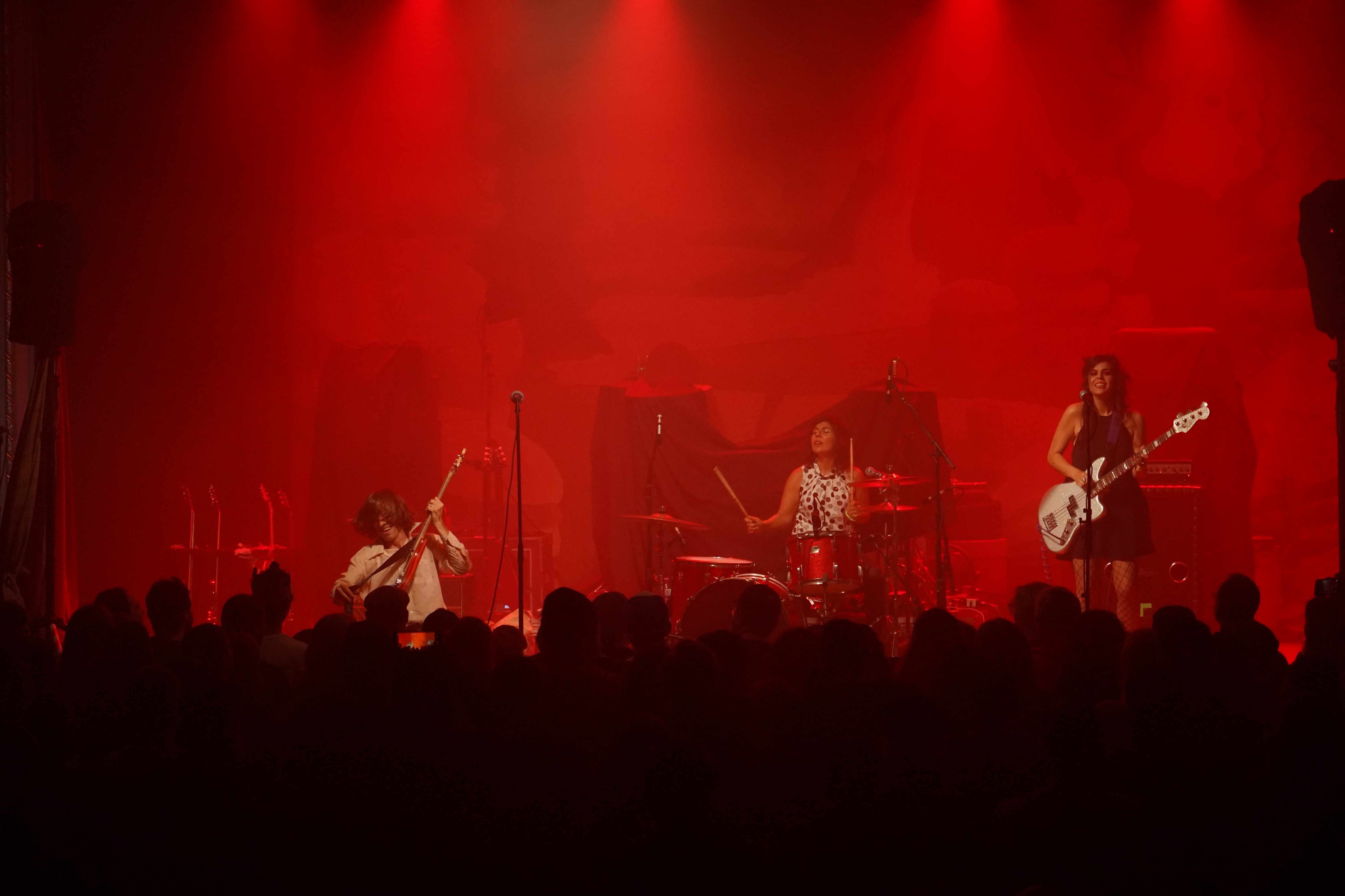 The Schizophonics