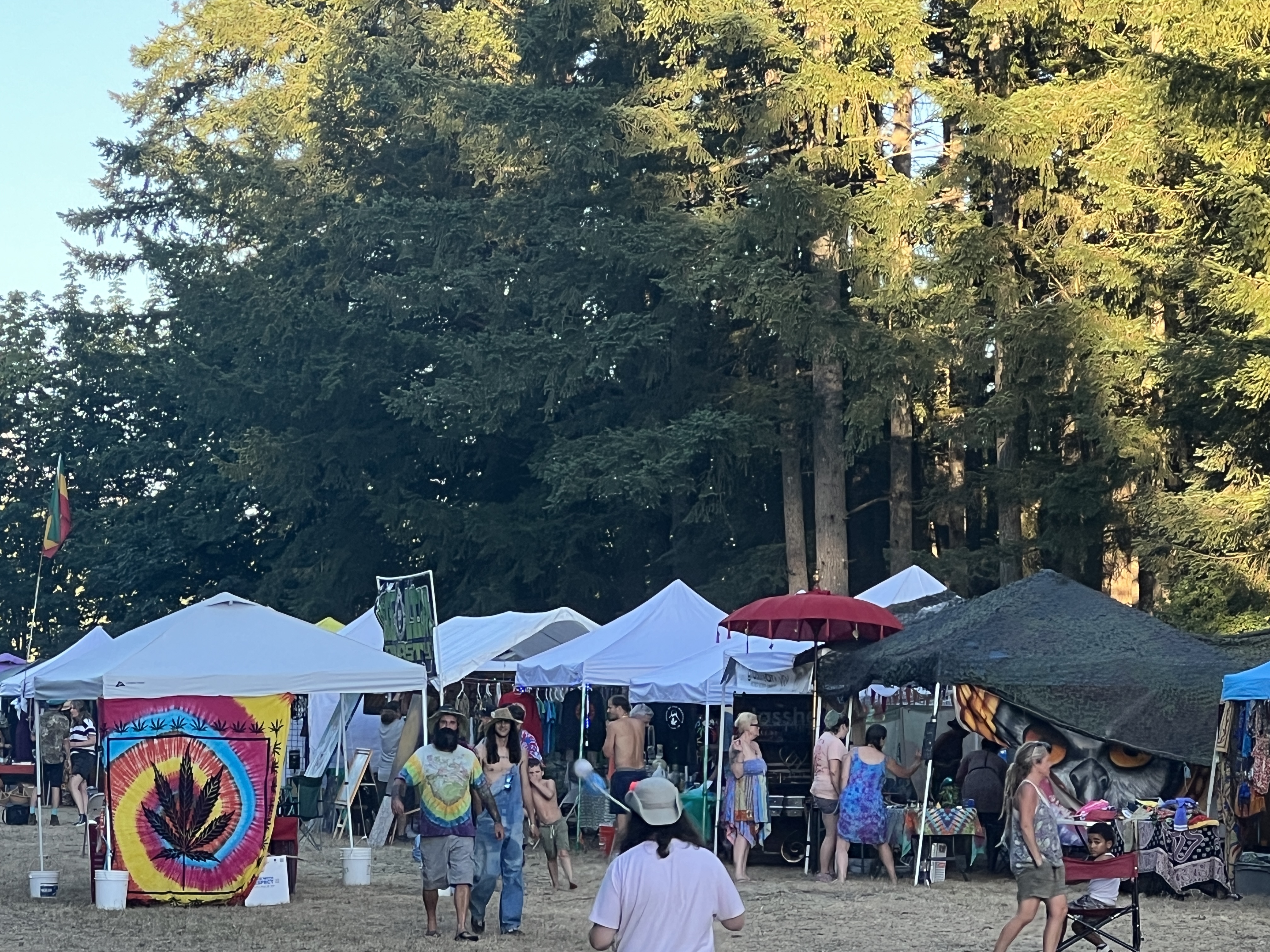 Festival photo