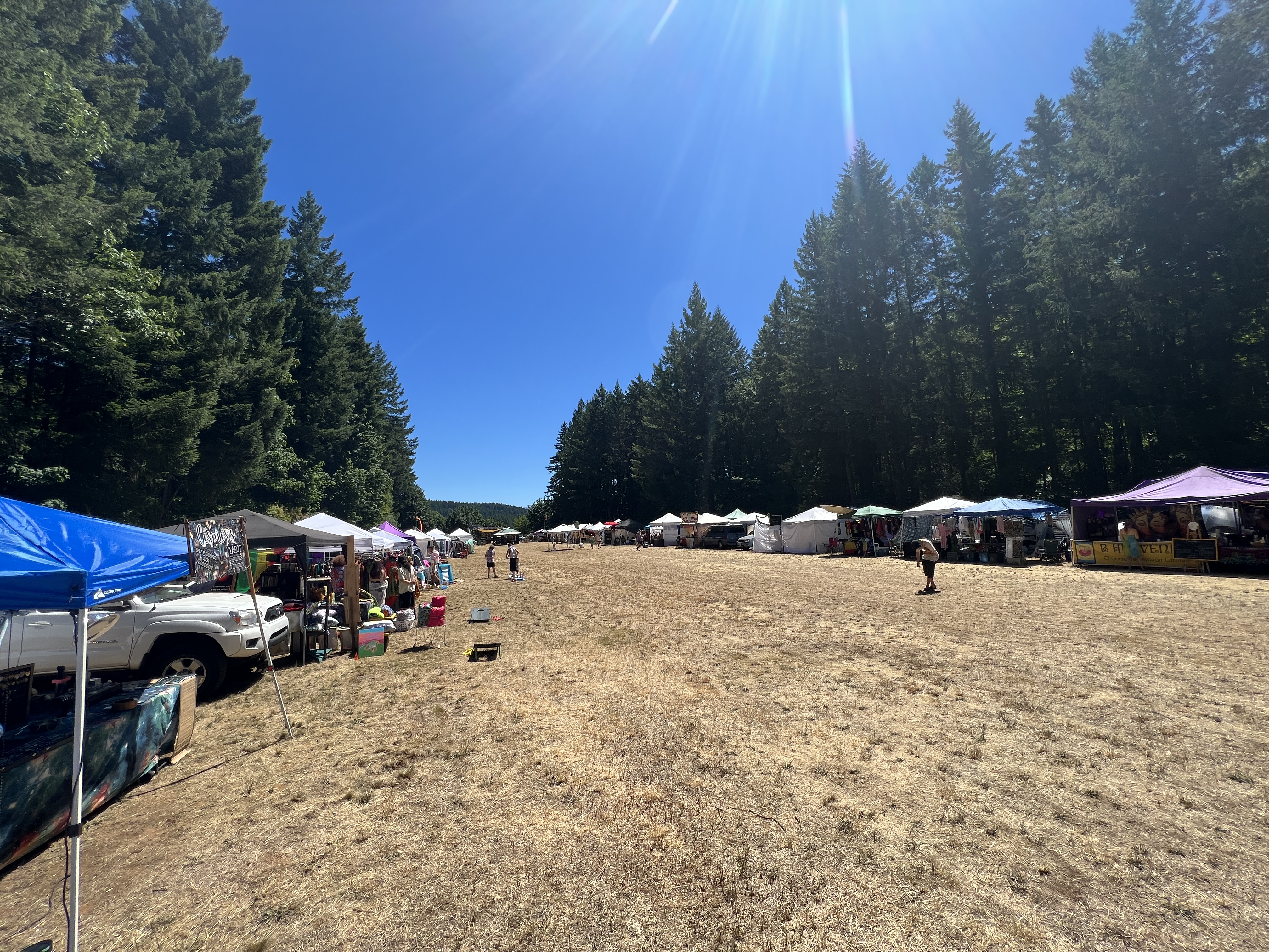 Festival — Northwest World Reggae Festival 2023