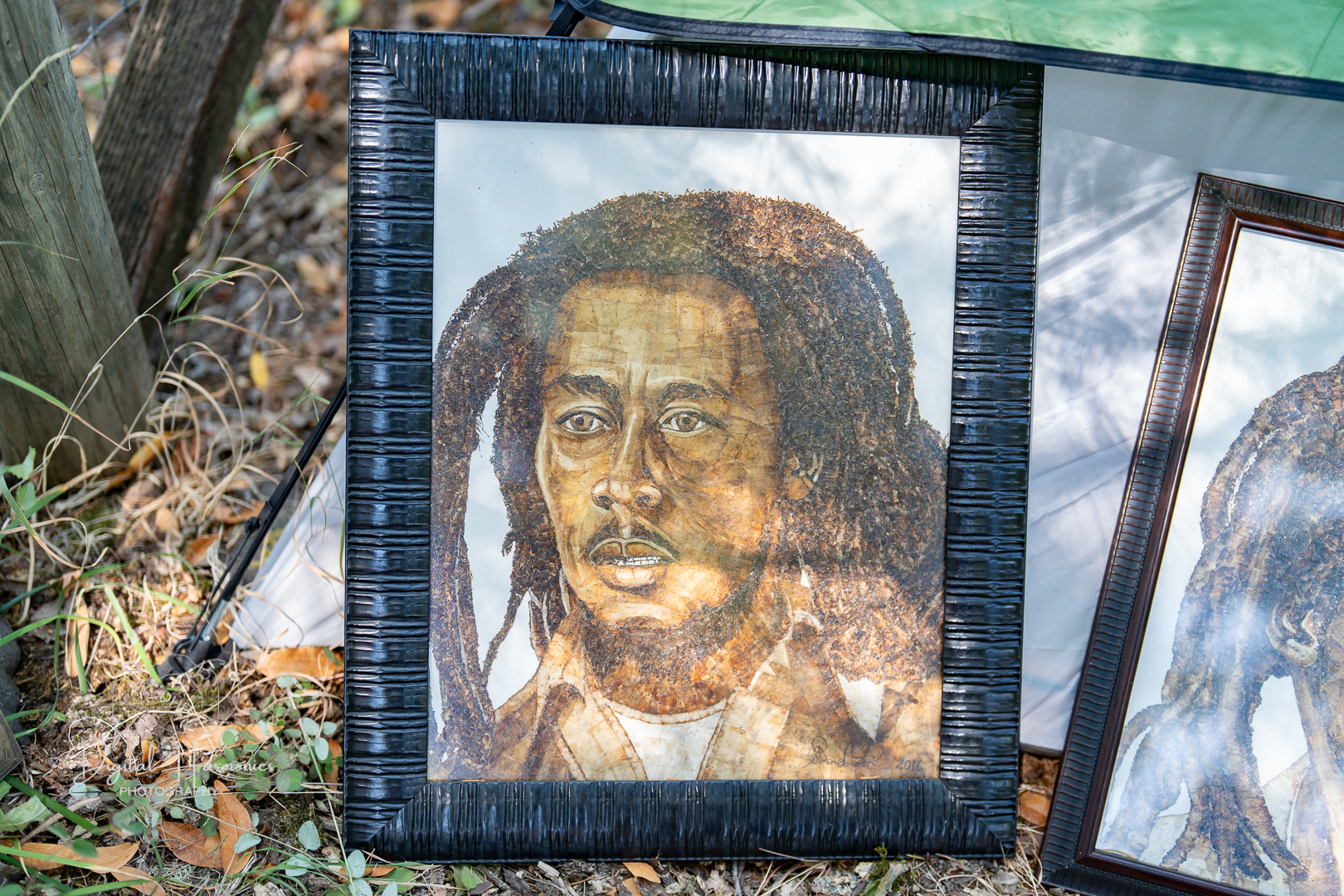Festival — Reggae On The River 2025