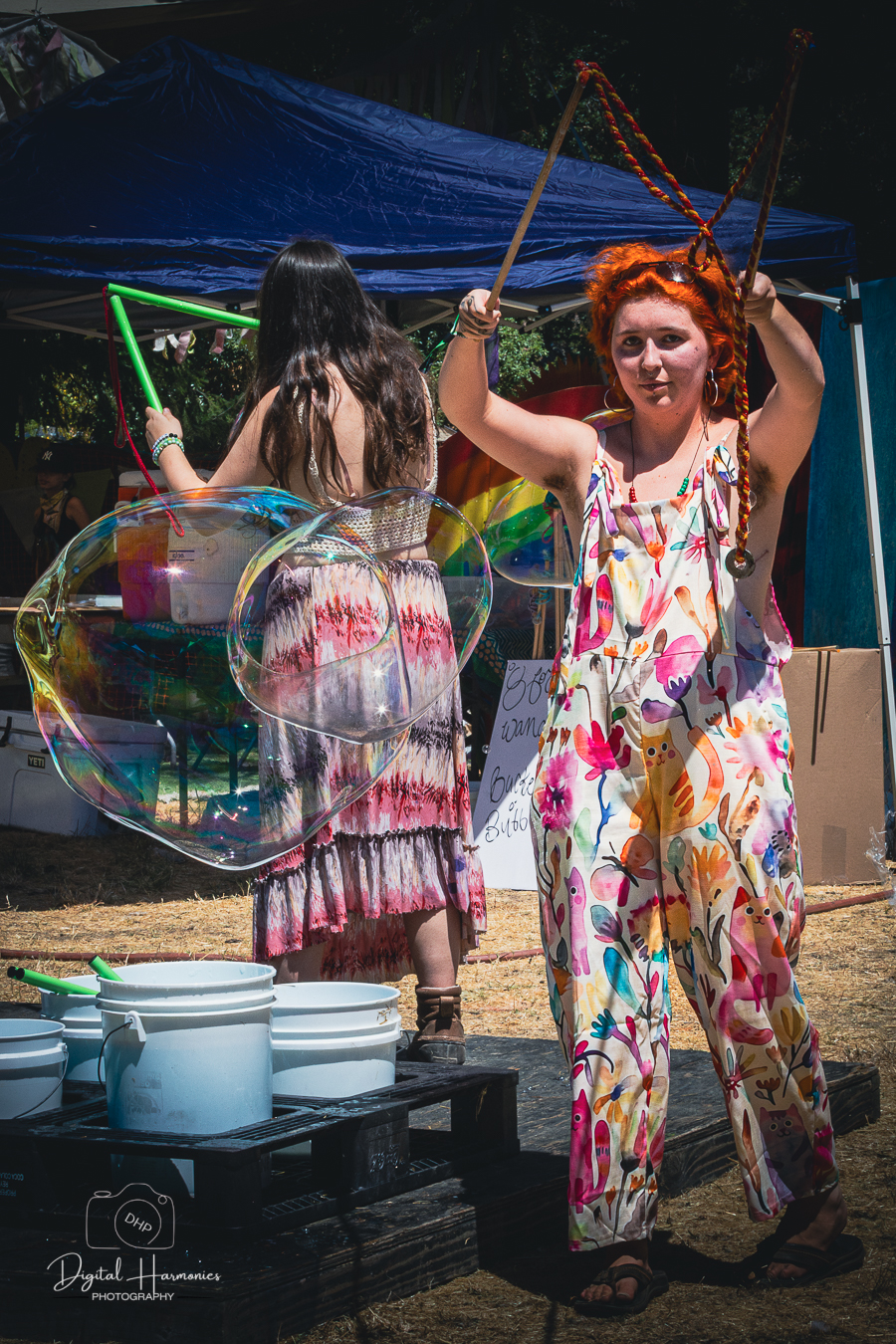 Festival — Reggae On The River 2025