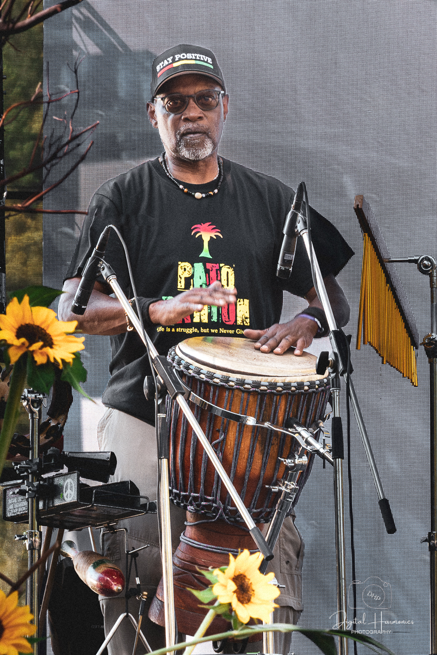 Pato Banton