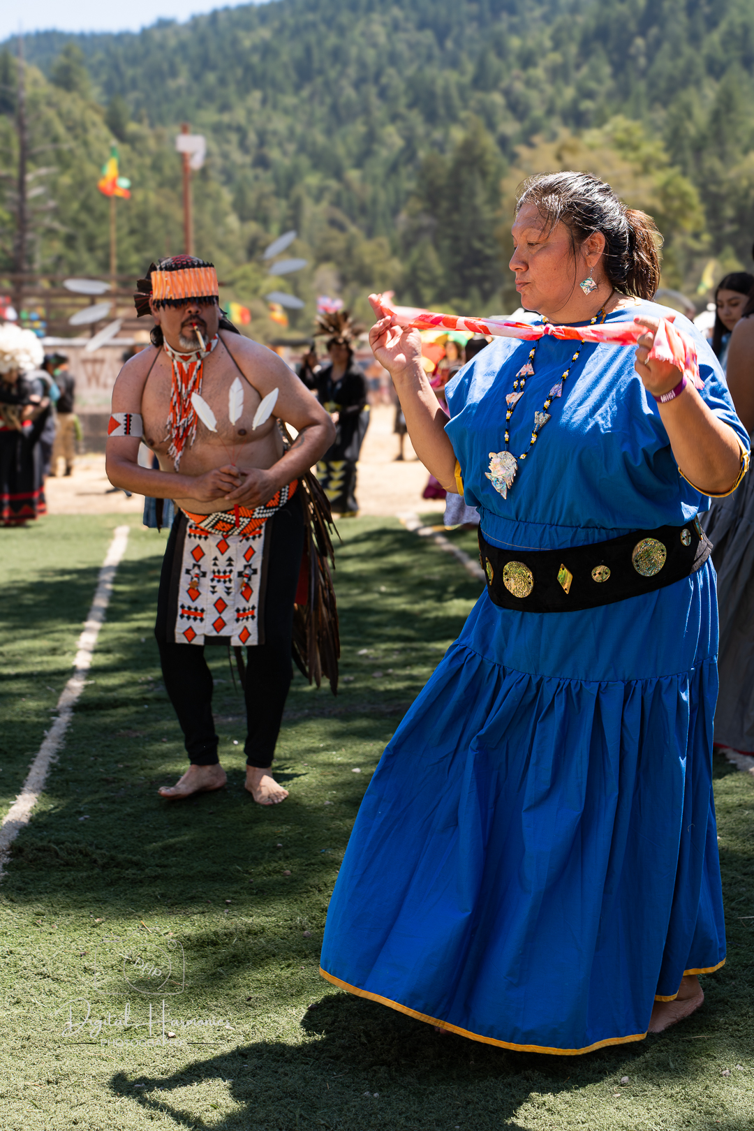 Festival — Reggae On The River 2025