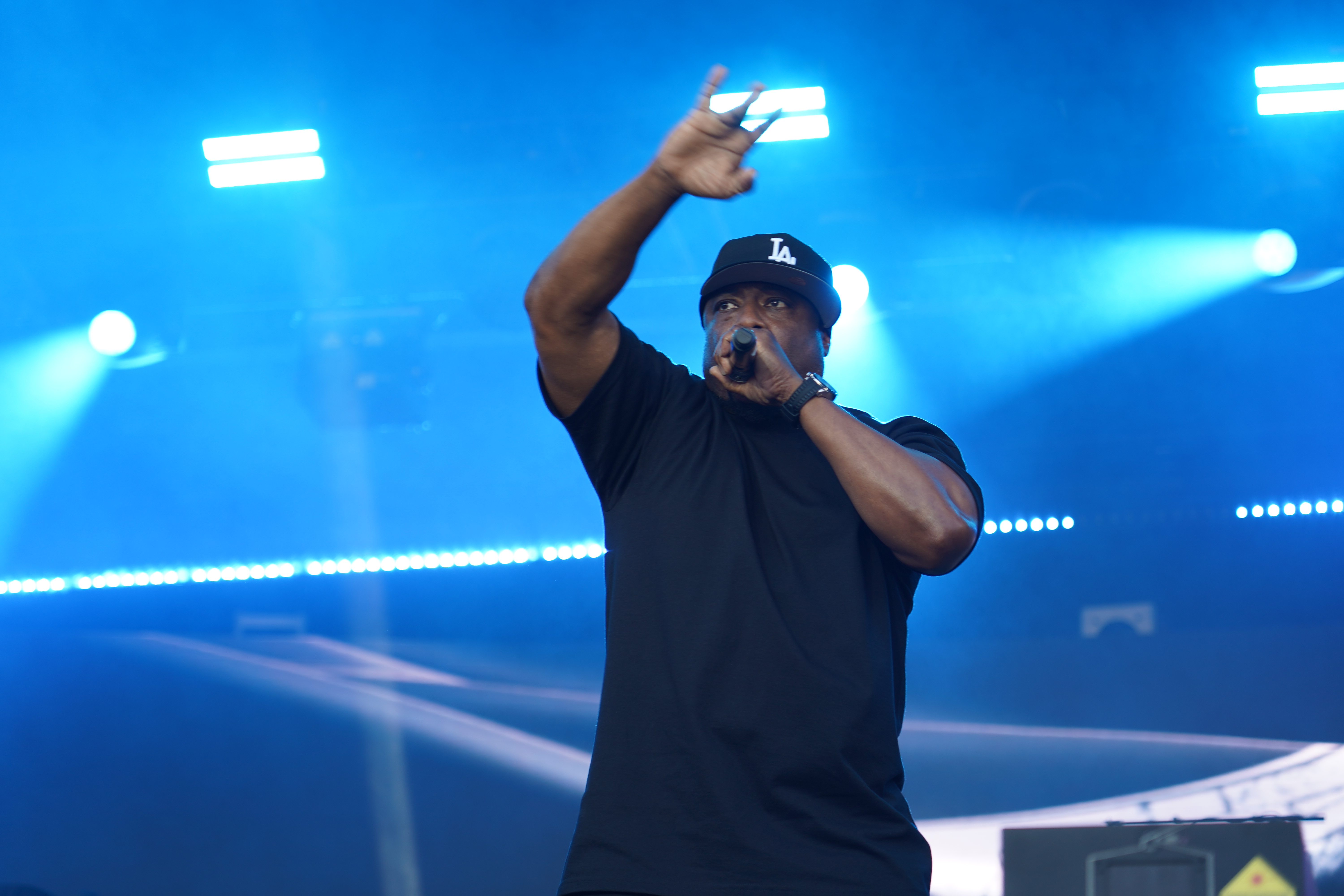 Ice Cube — California Roots Music & Arts Festival 2024