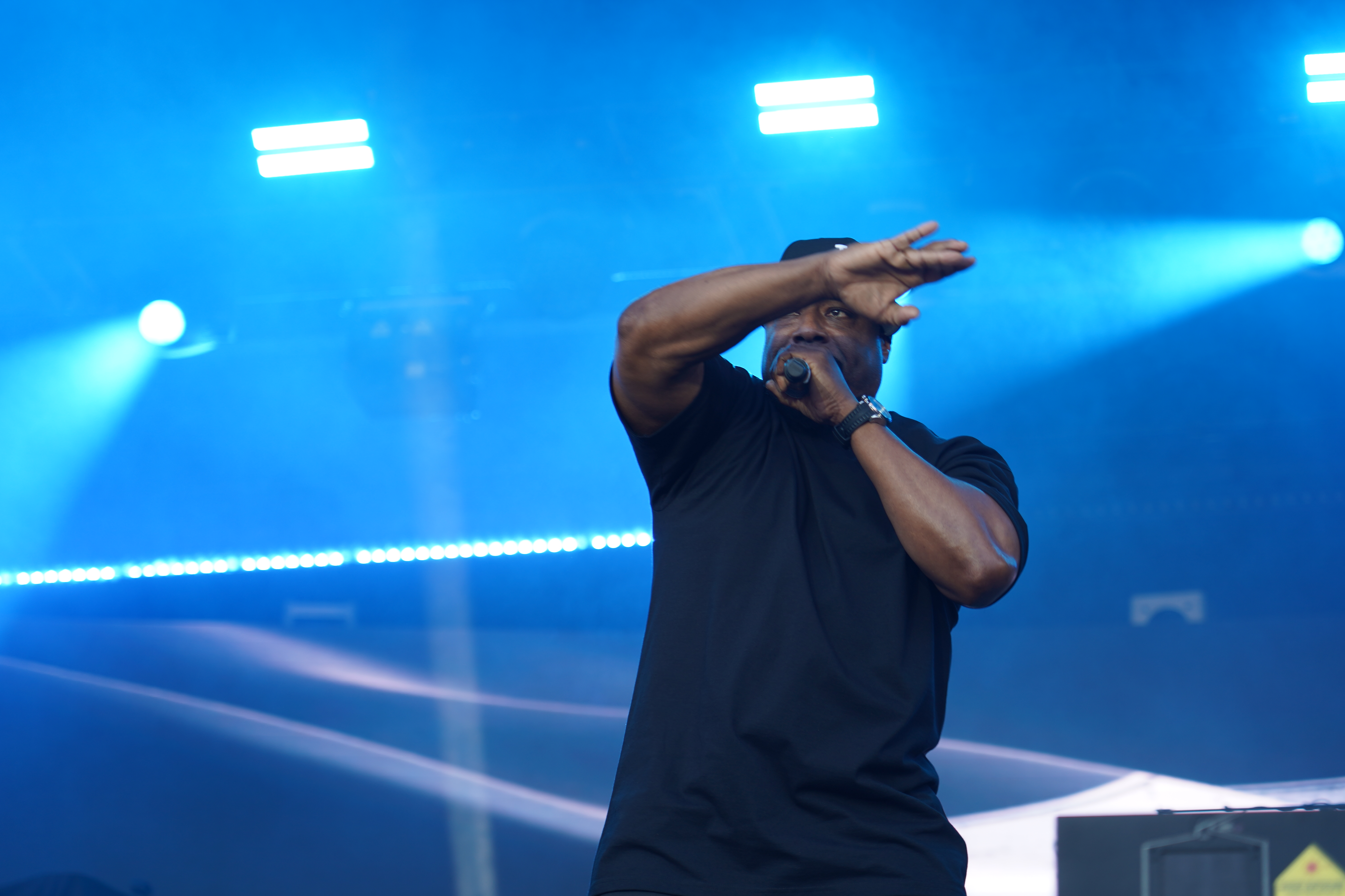 Ice Cube — California Roots Music & Arts Festival 2024