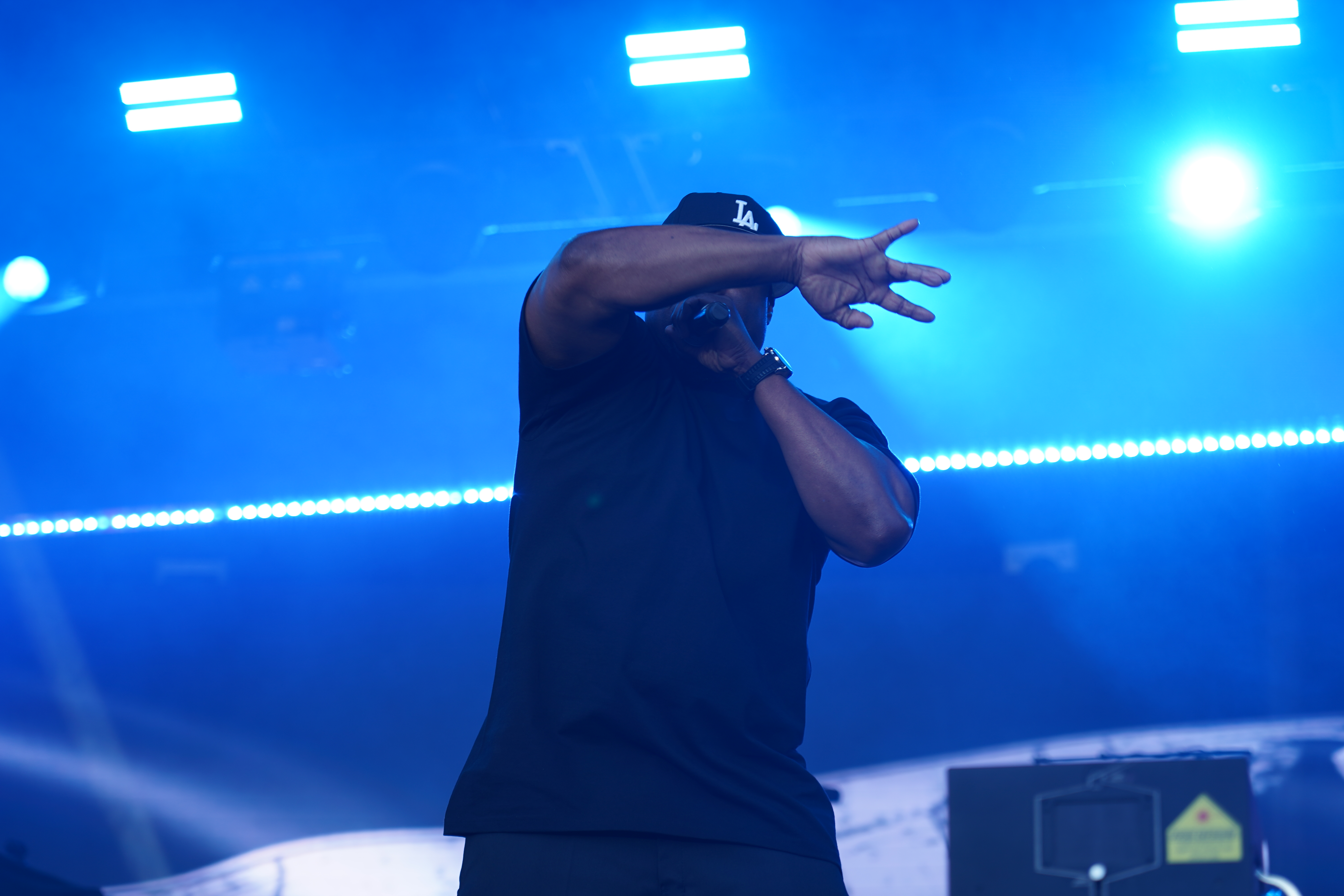 Ice Cube — California Roots Music & Arts Festival 2024