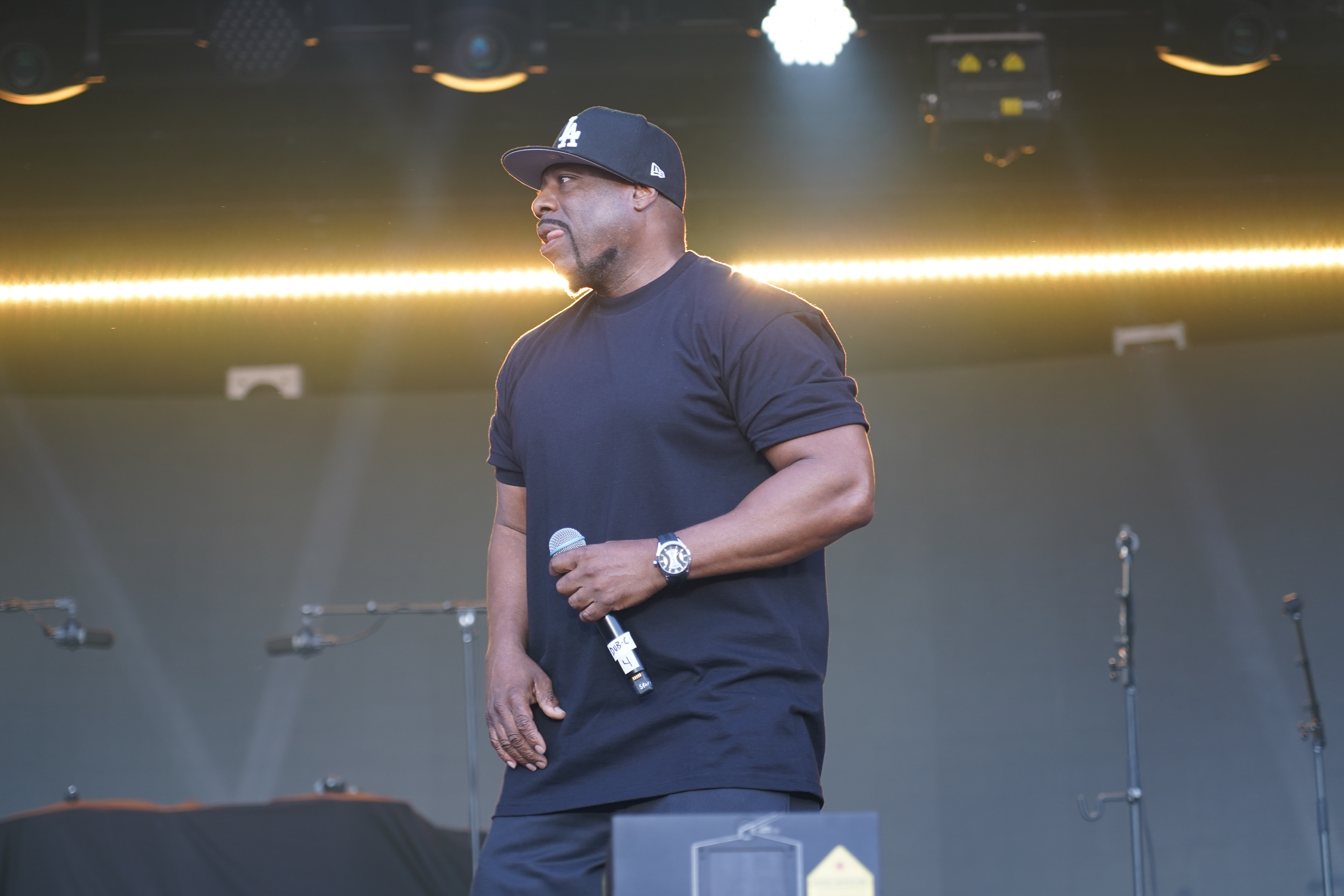 Ice Cube — California Roots Music & Arts Festival 2024