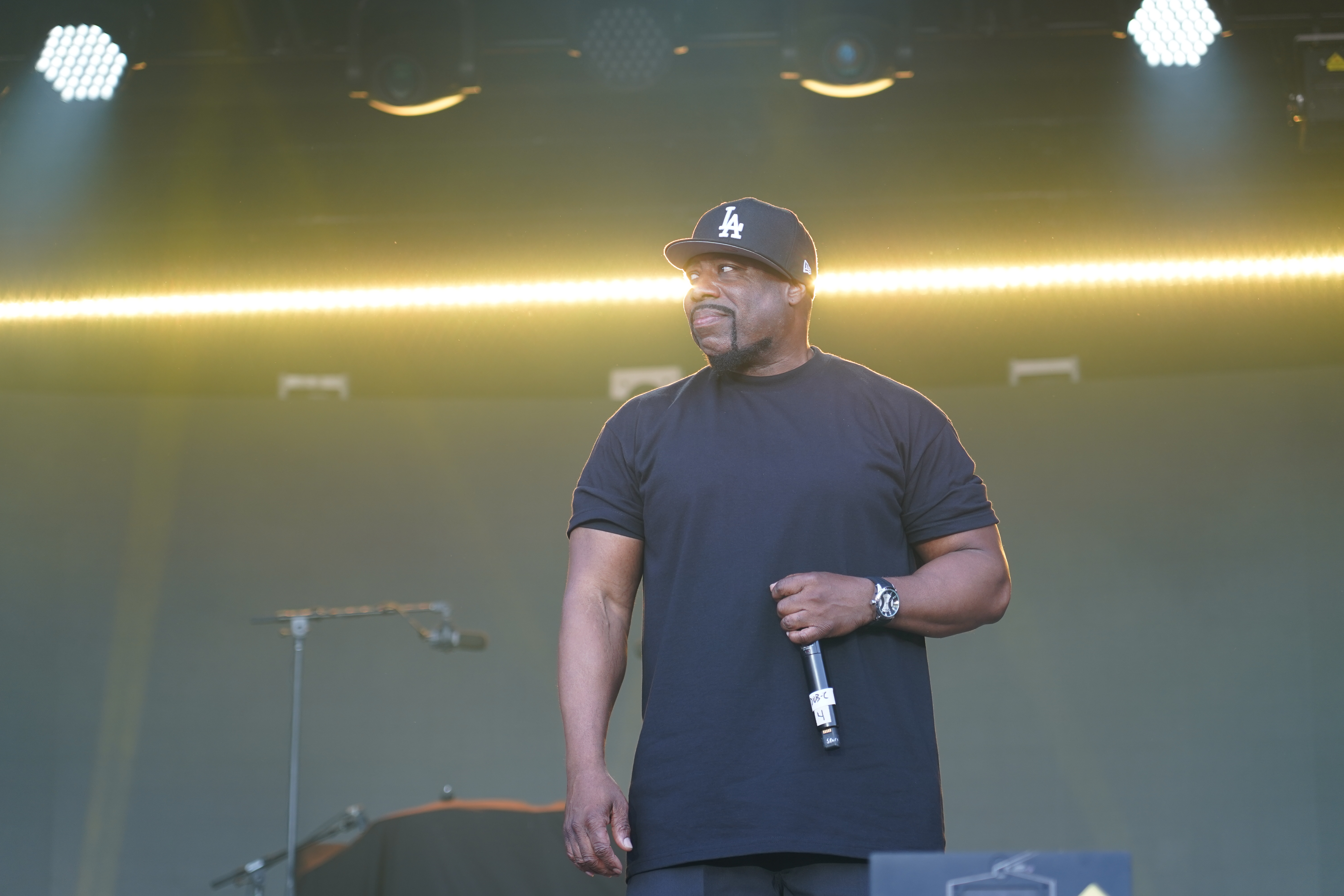 Ice Cube — California Roots Music & Arts Festival 2024