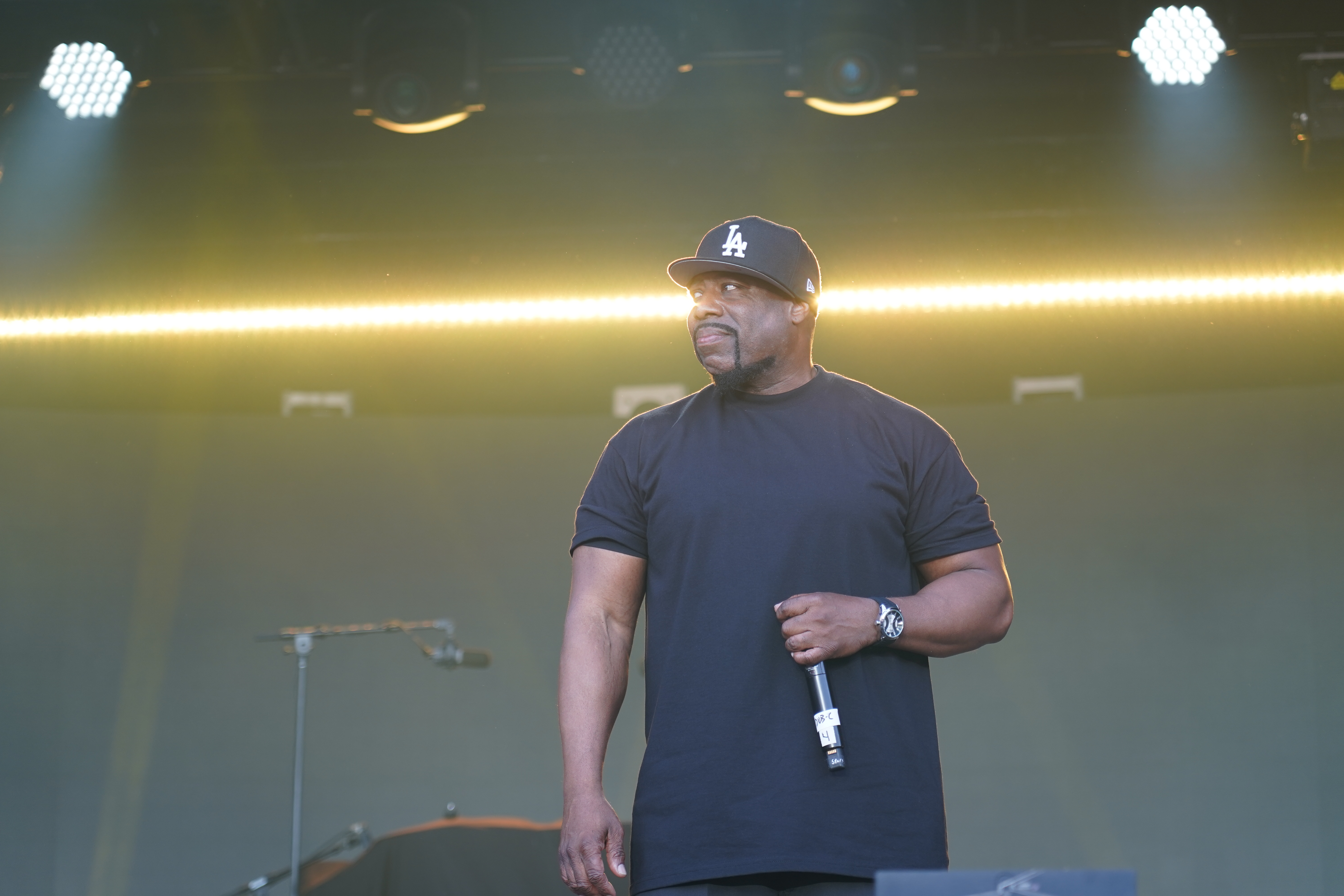 Ice Cube — California Roots Music & Arts Festival 2024