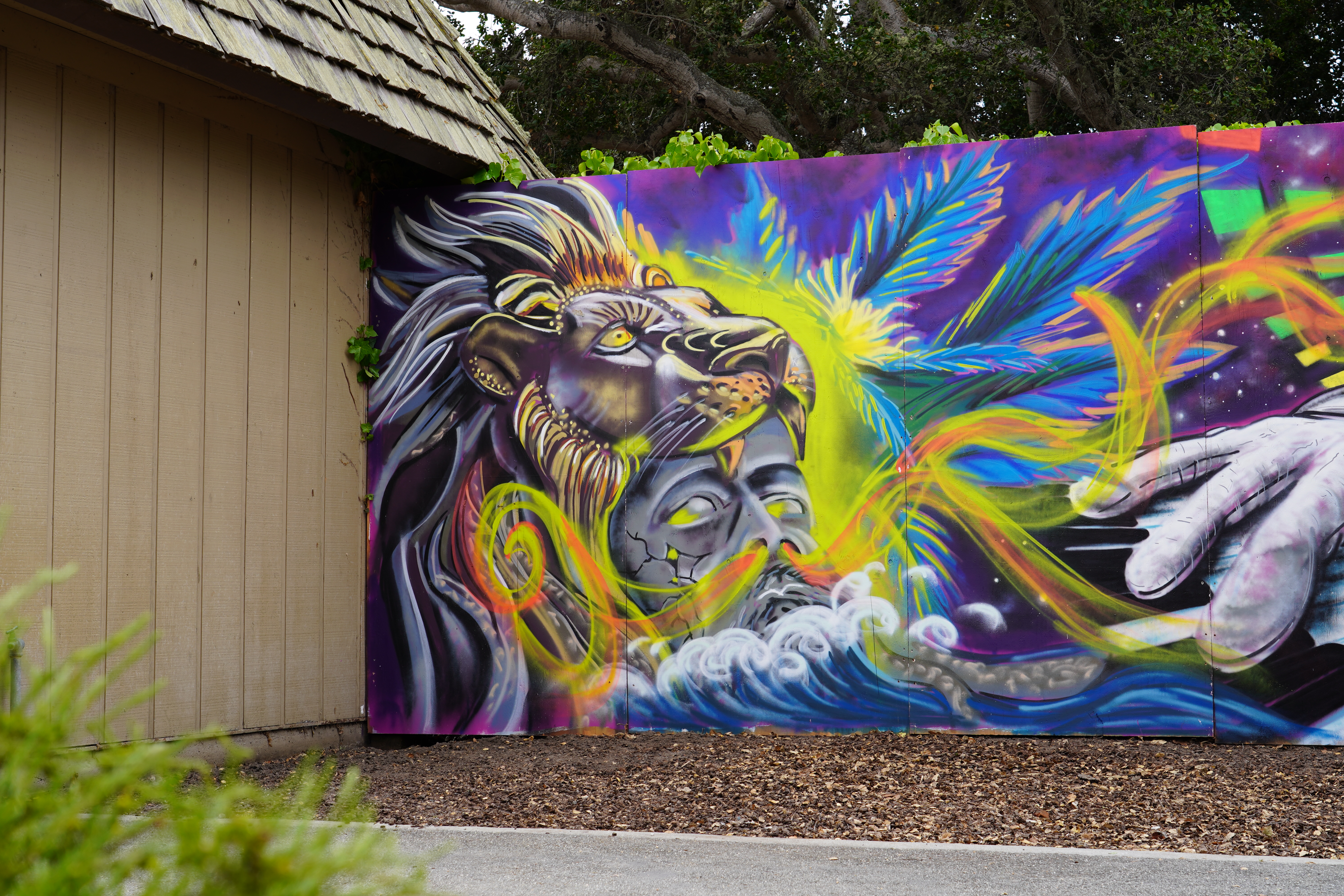 Festival — California Roots Music & Arts Festival 2024