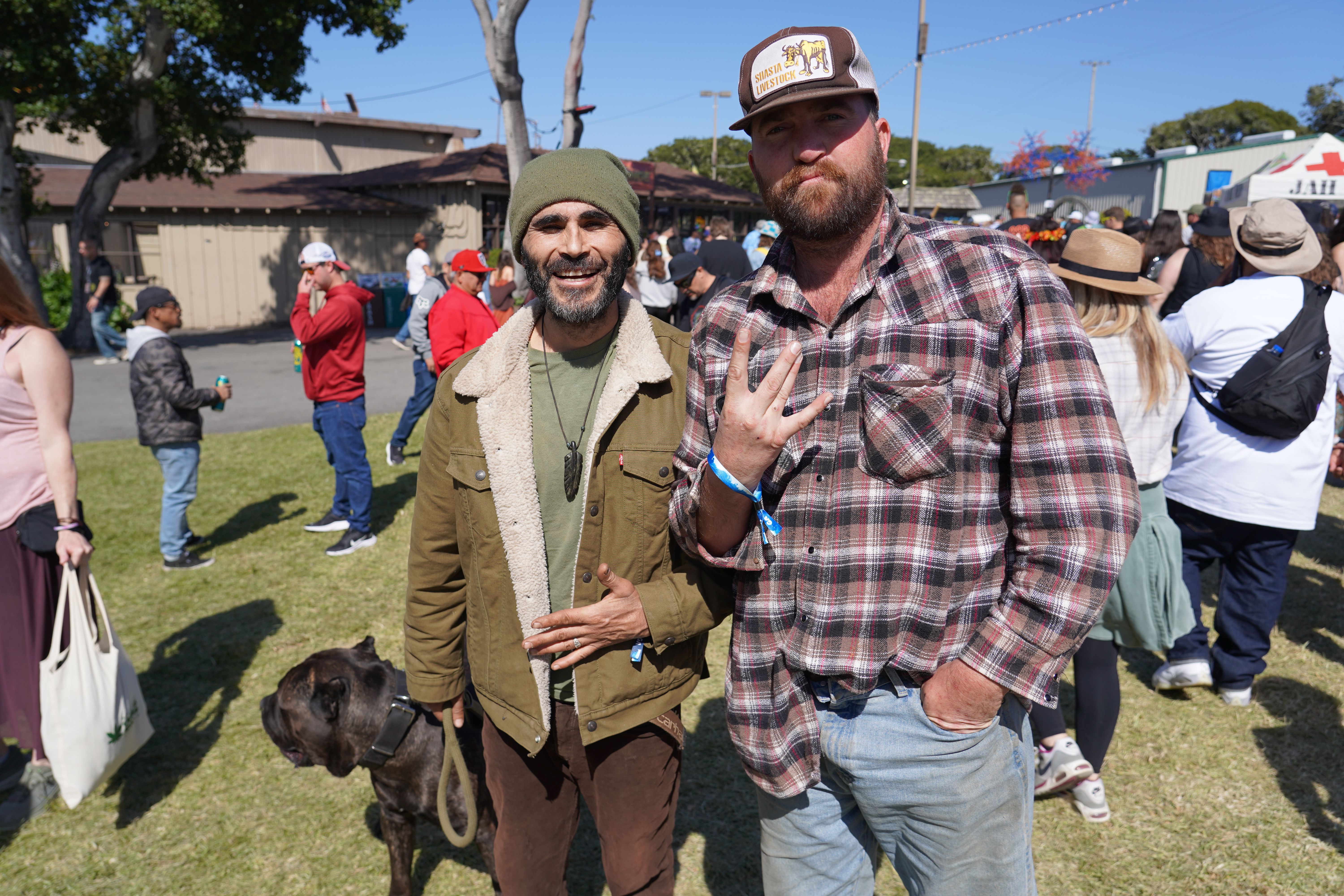 Festival — California Roots Music & Arts Festival 2024