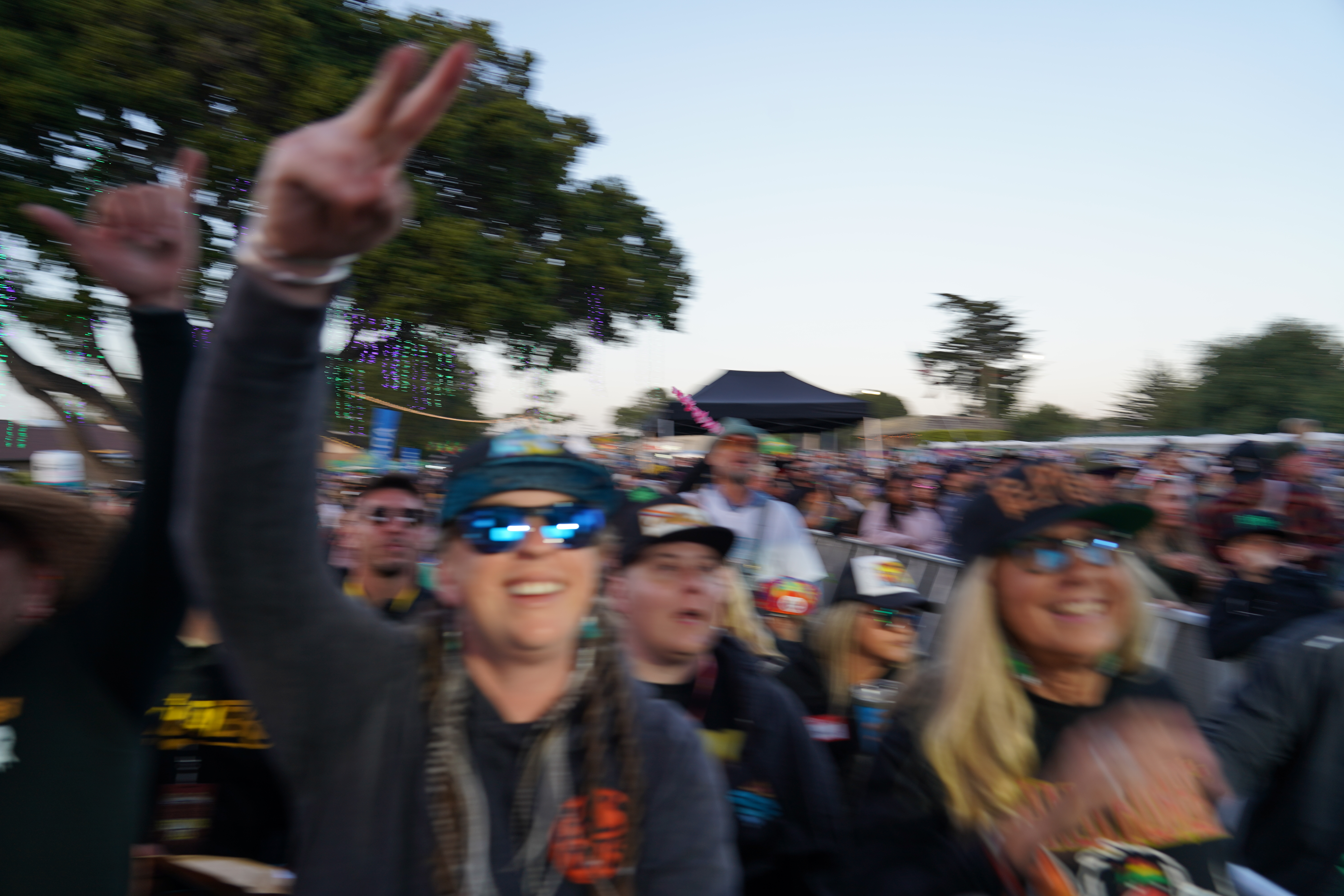 Festival — California Roots Music & Arts Festival 2024