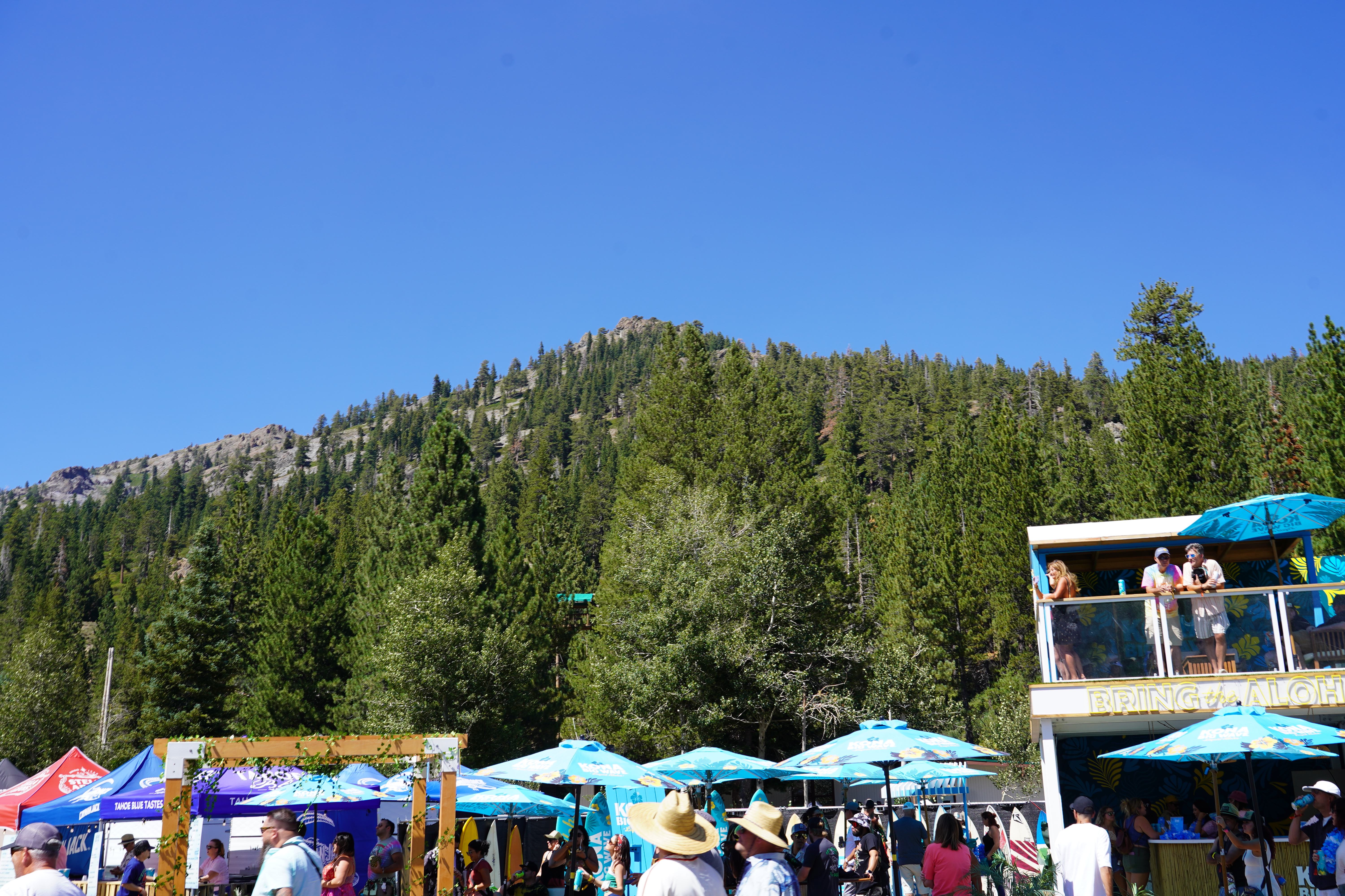 Festival — Lake Tahoe Reggae Festival 2024