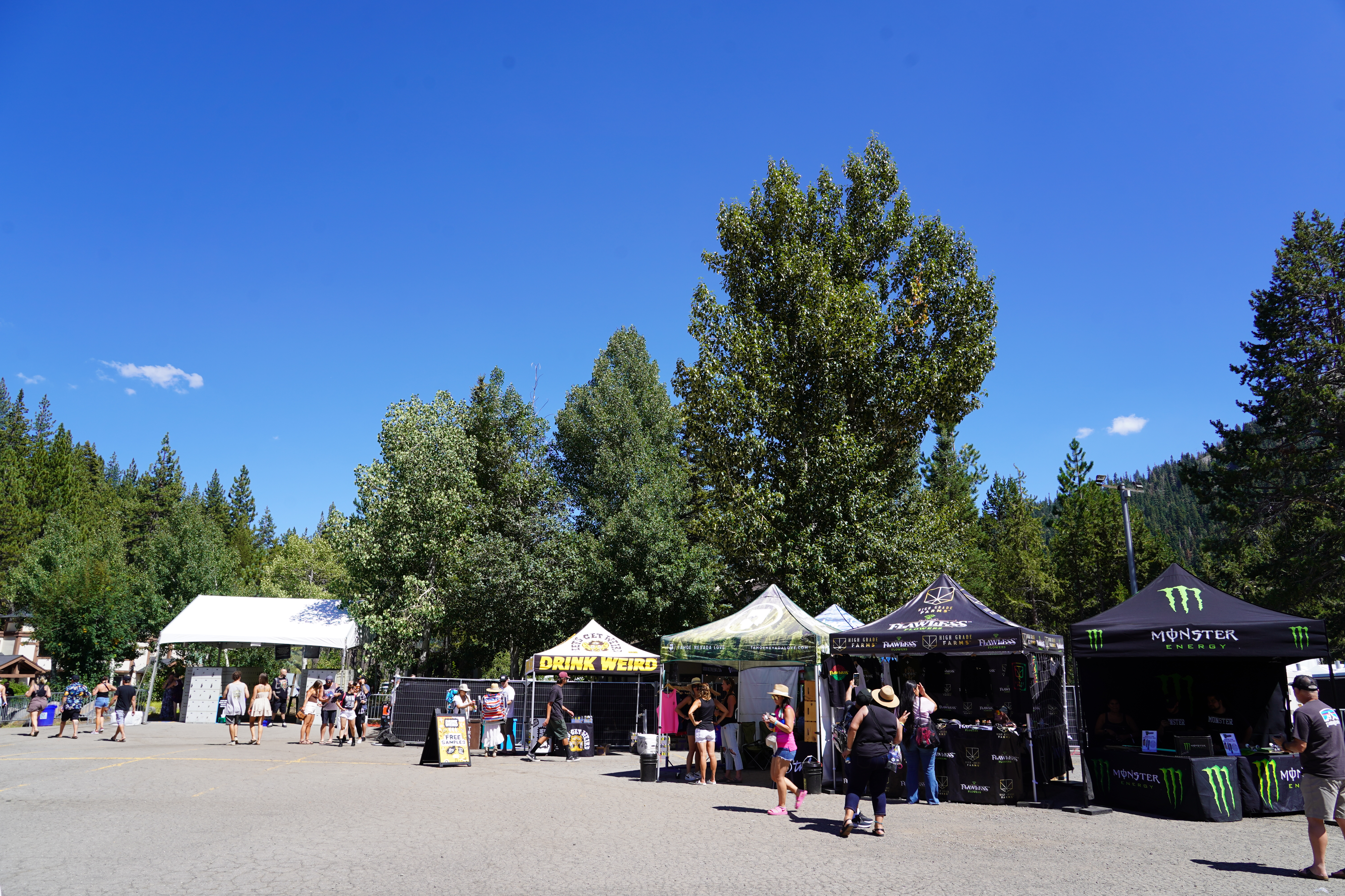 Festival — Lake Tahoe Reggae Festival 2024