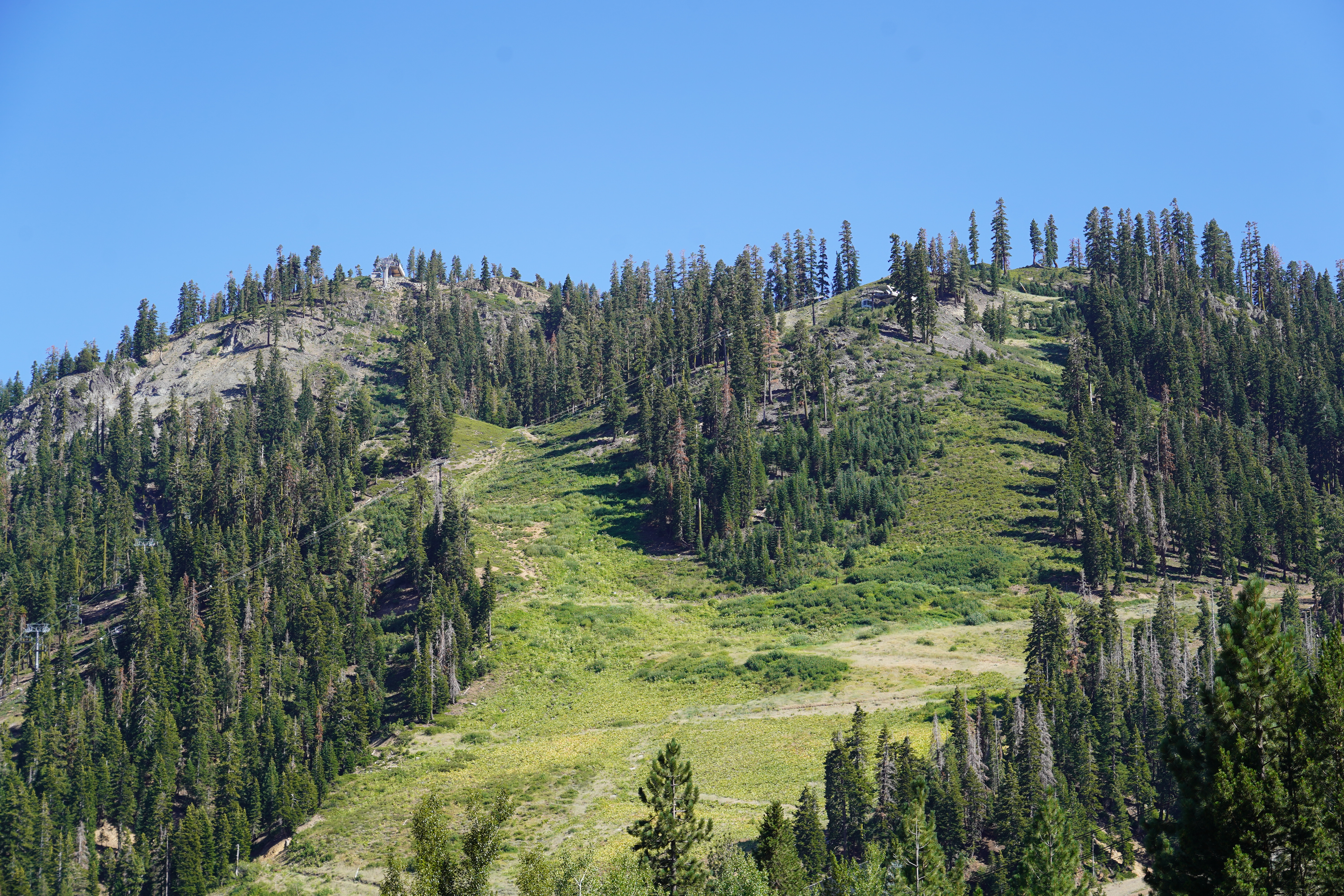 Festival — Lake Tahoe Reggae Festival 2024