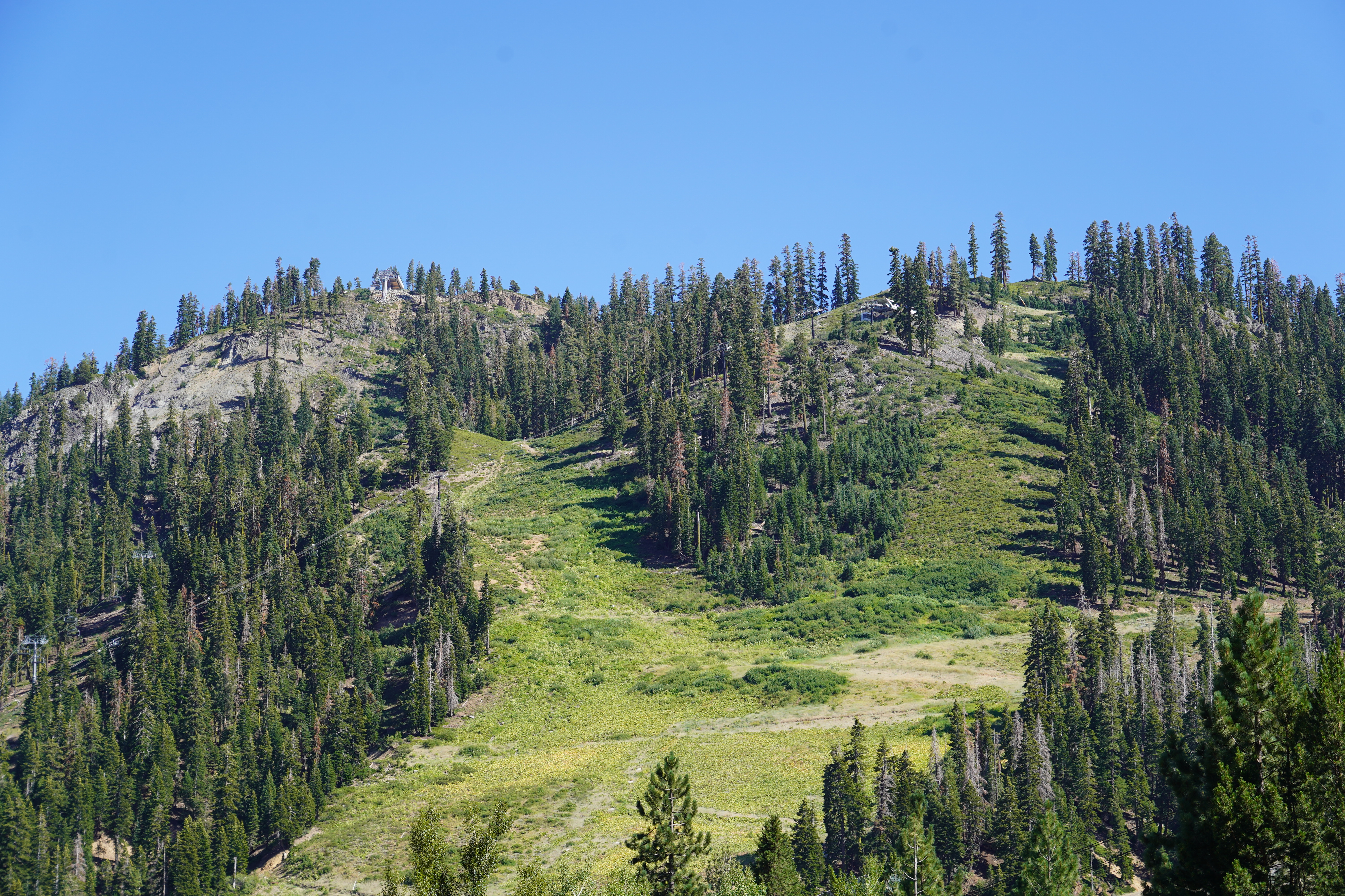 Festival — Lake Tahoe Reggae Festival 2024