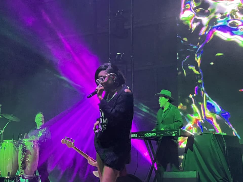 Thievery Corporation photo