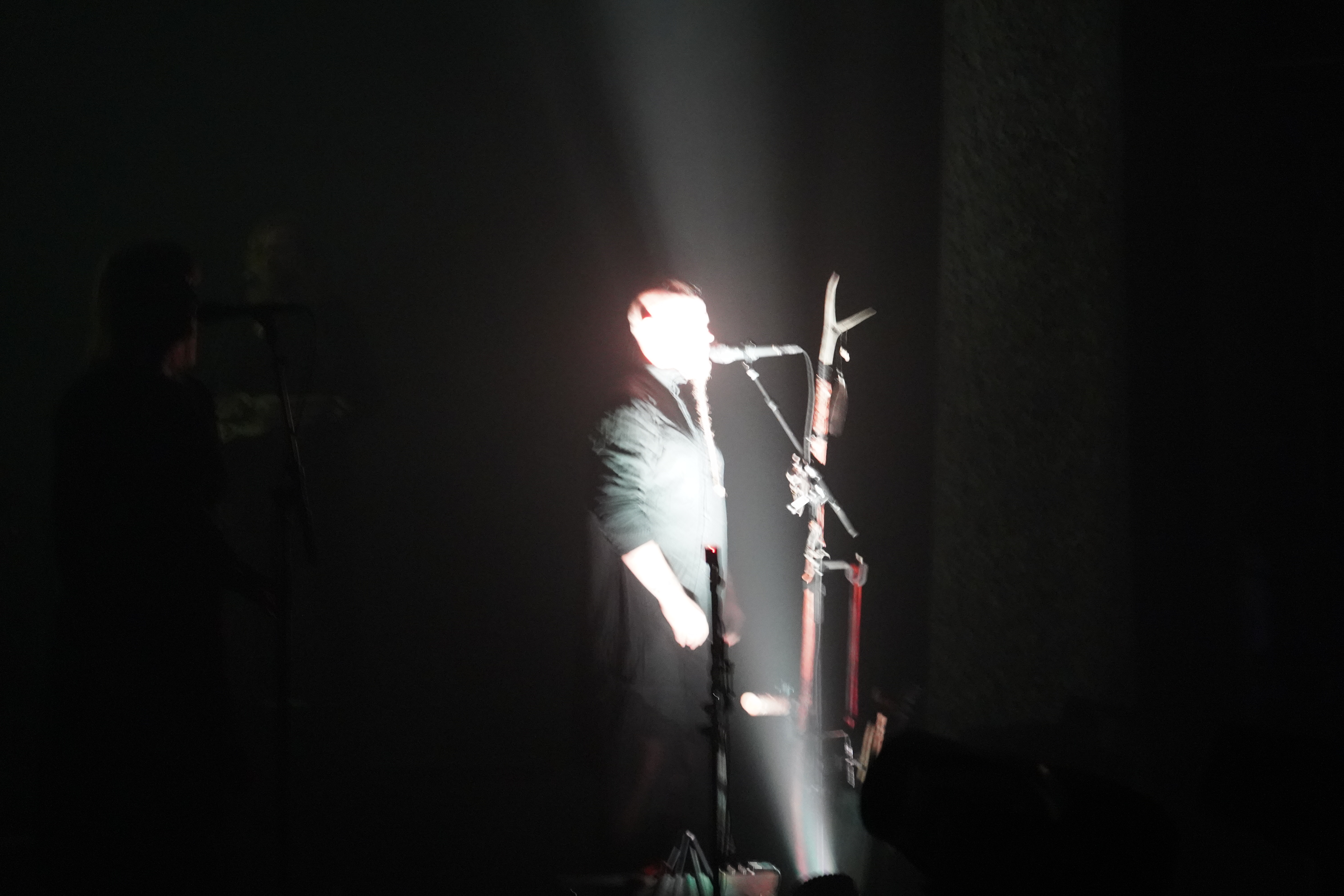 Wardruna
