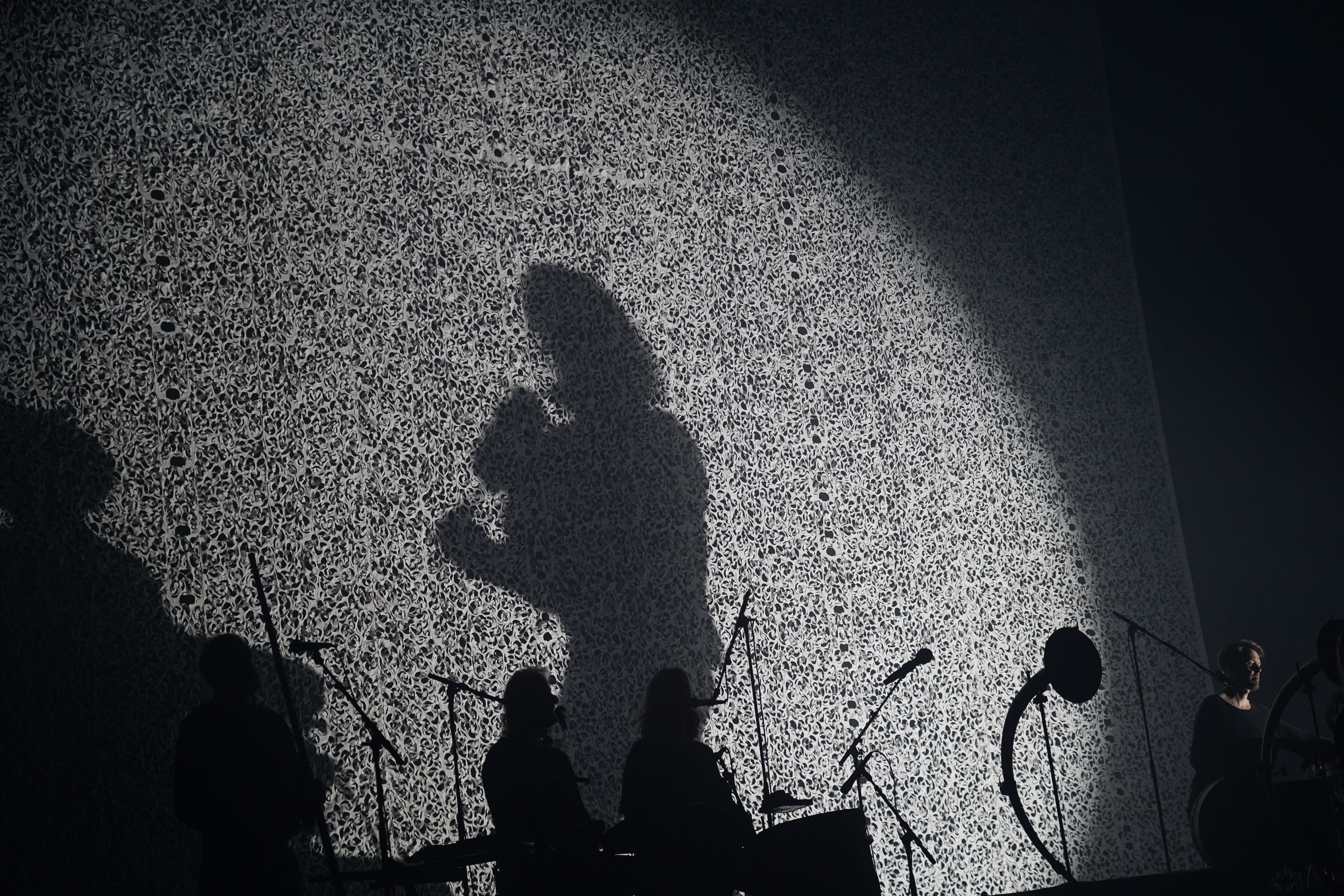 Wardruna — Wardruna