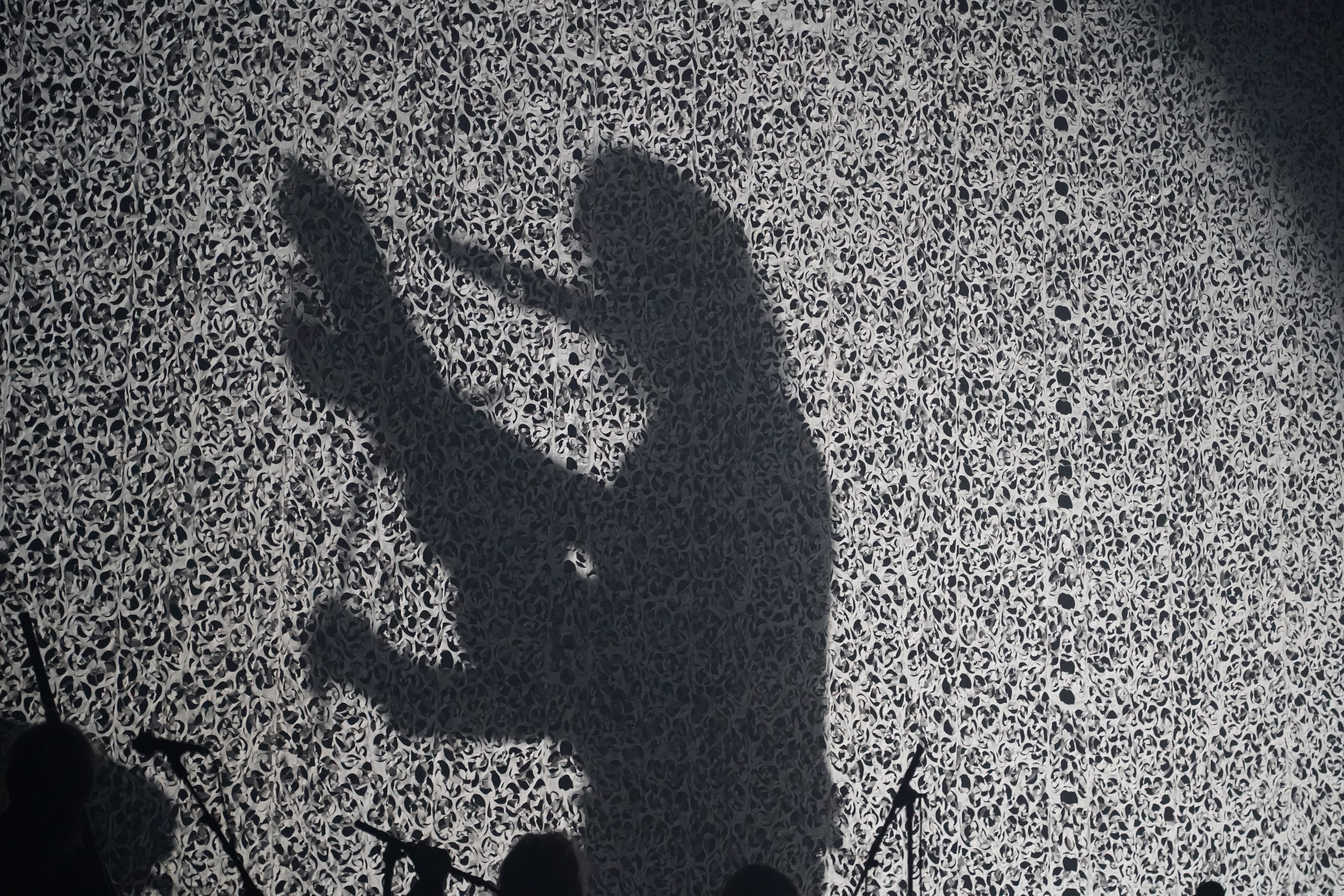 Wardruna — Wardruna