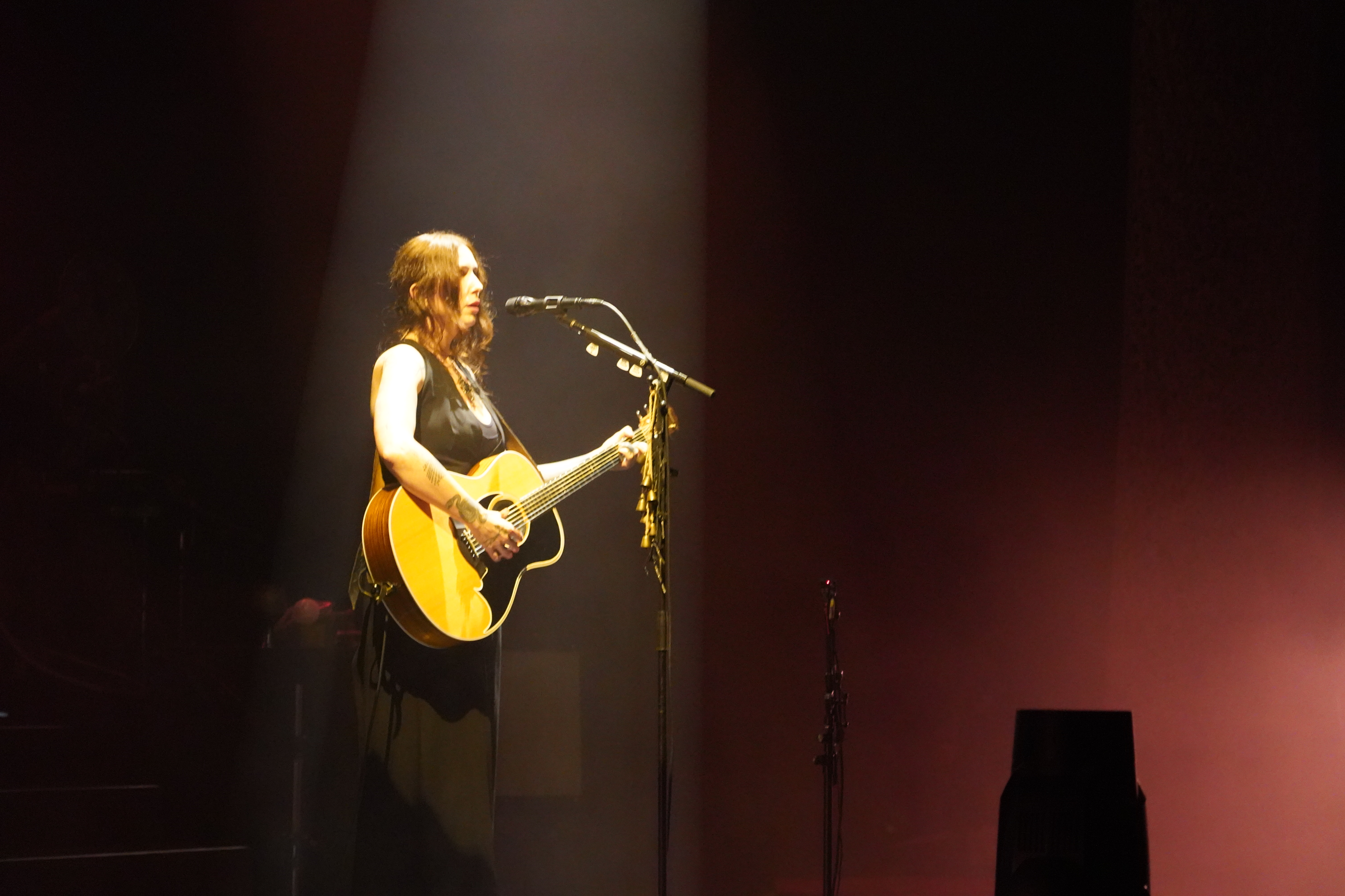 Chelsea Wolfe — Chelsea Wolfe
