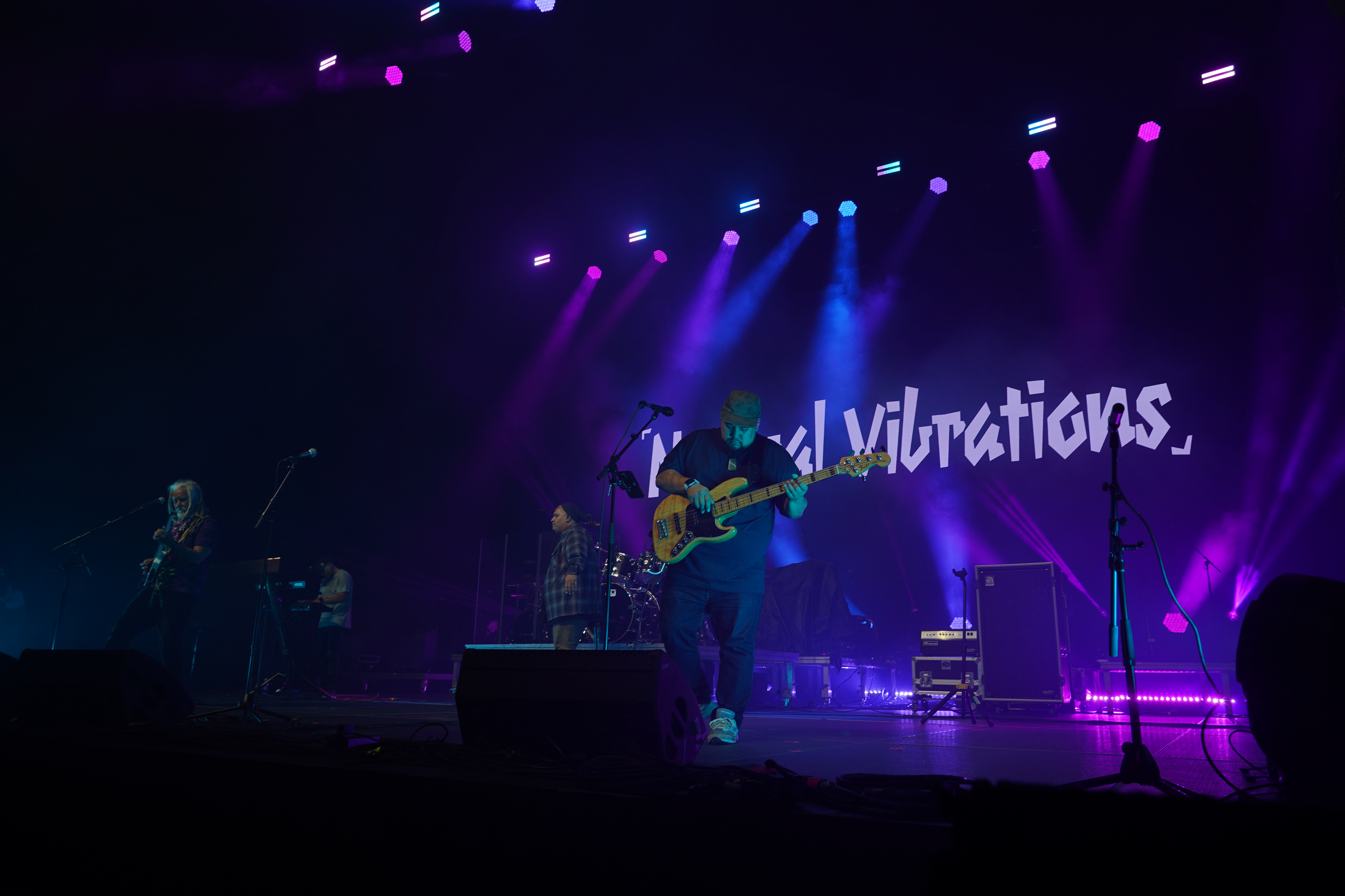 Natural Vibrations