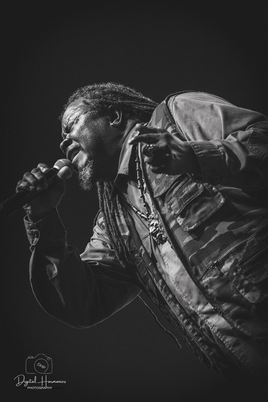 Luciano — Reggae On The River 2025