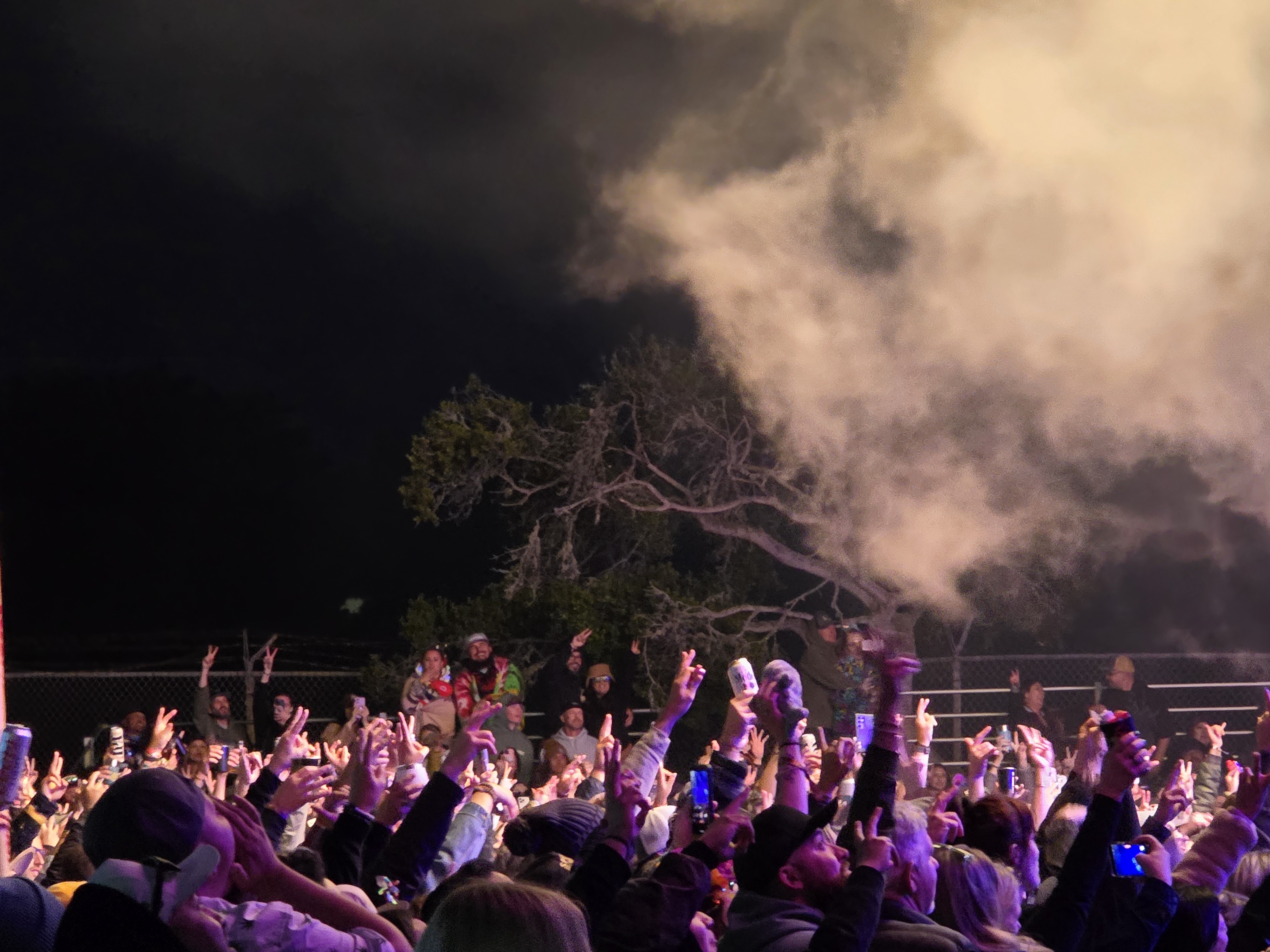 Festival — California Roots Music & Arts Festival 2025
