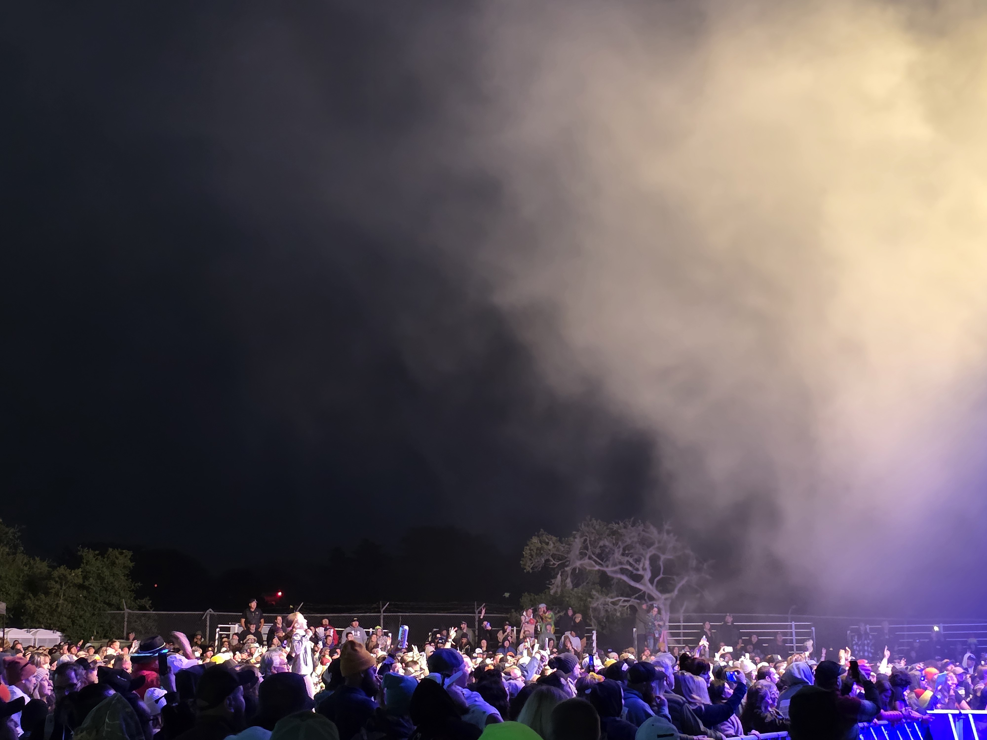 Festival — California Roots Music & Arts Festival 2025