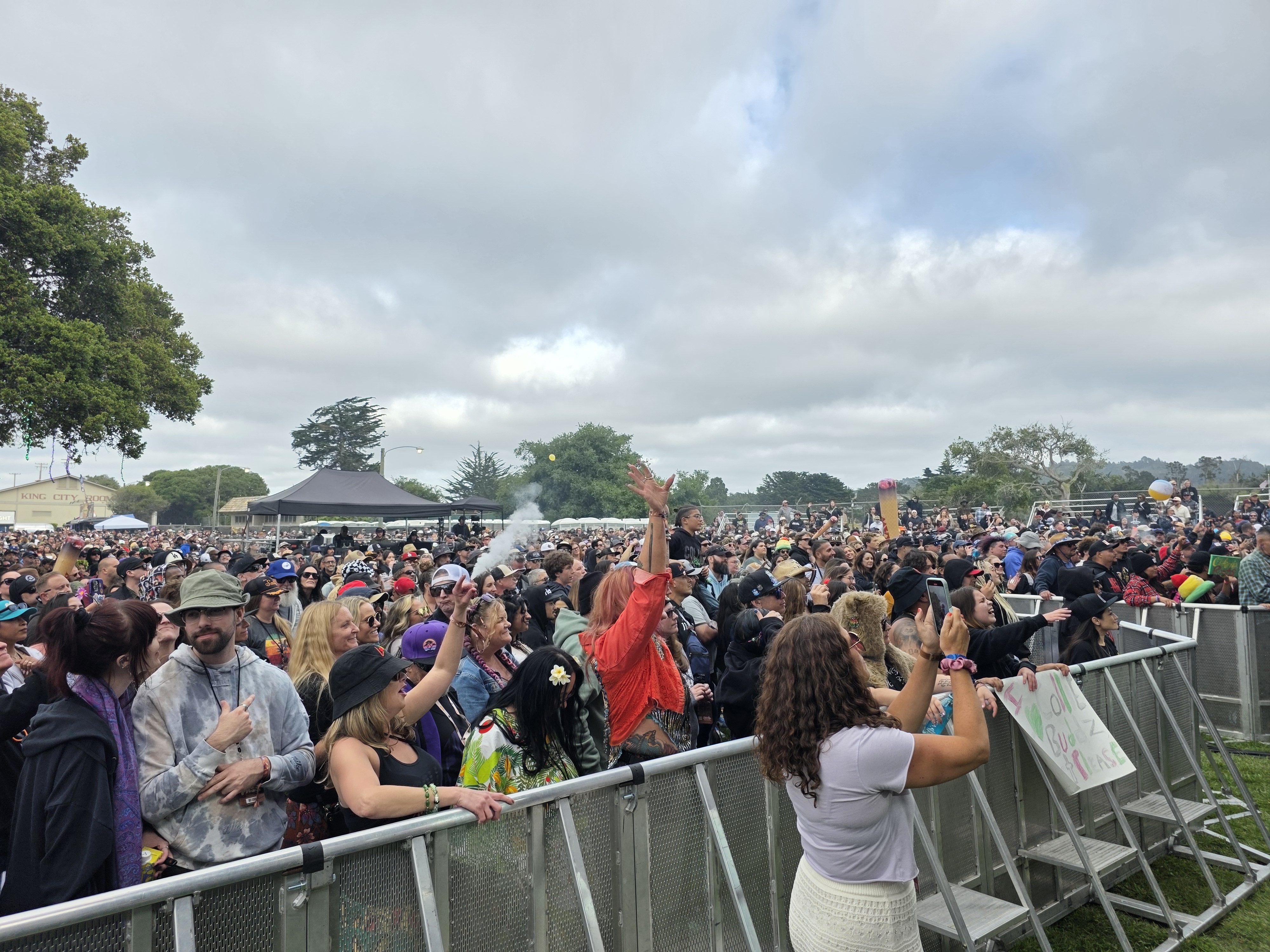 Festival — California Roots Music & Arts Festival 2025