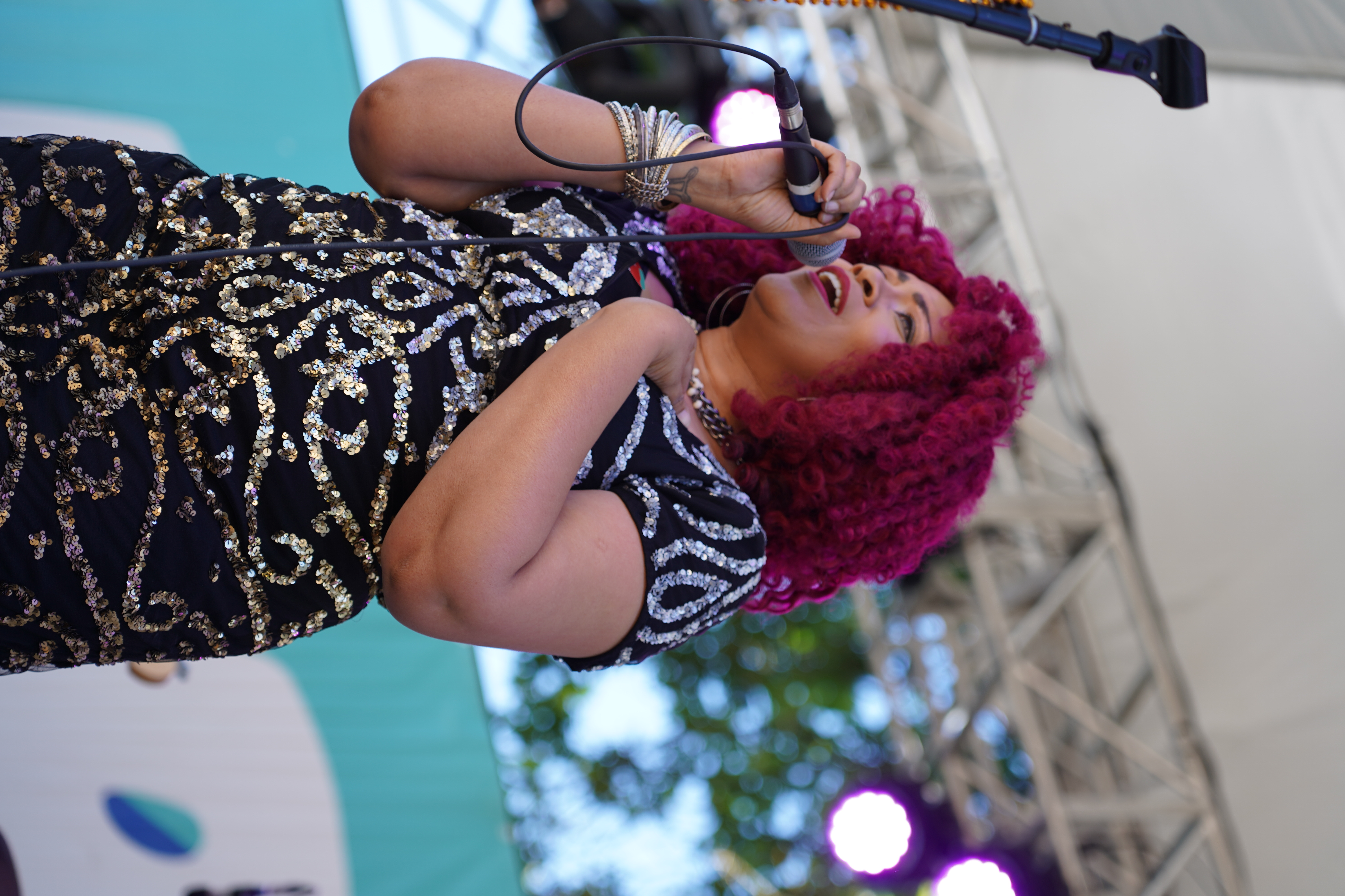 GeminiiDRAGON — Waterfront Blues Festival 2024
