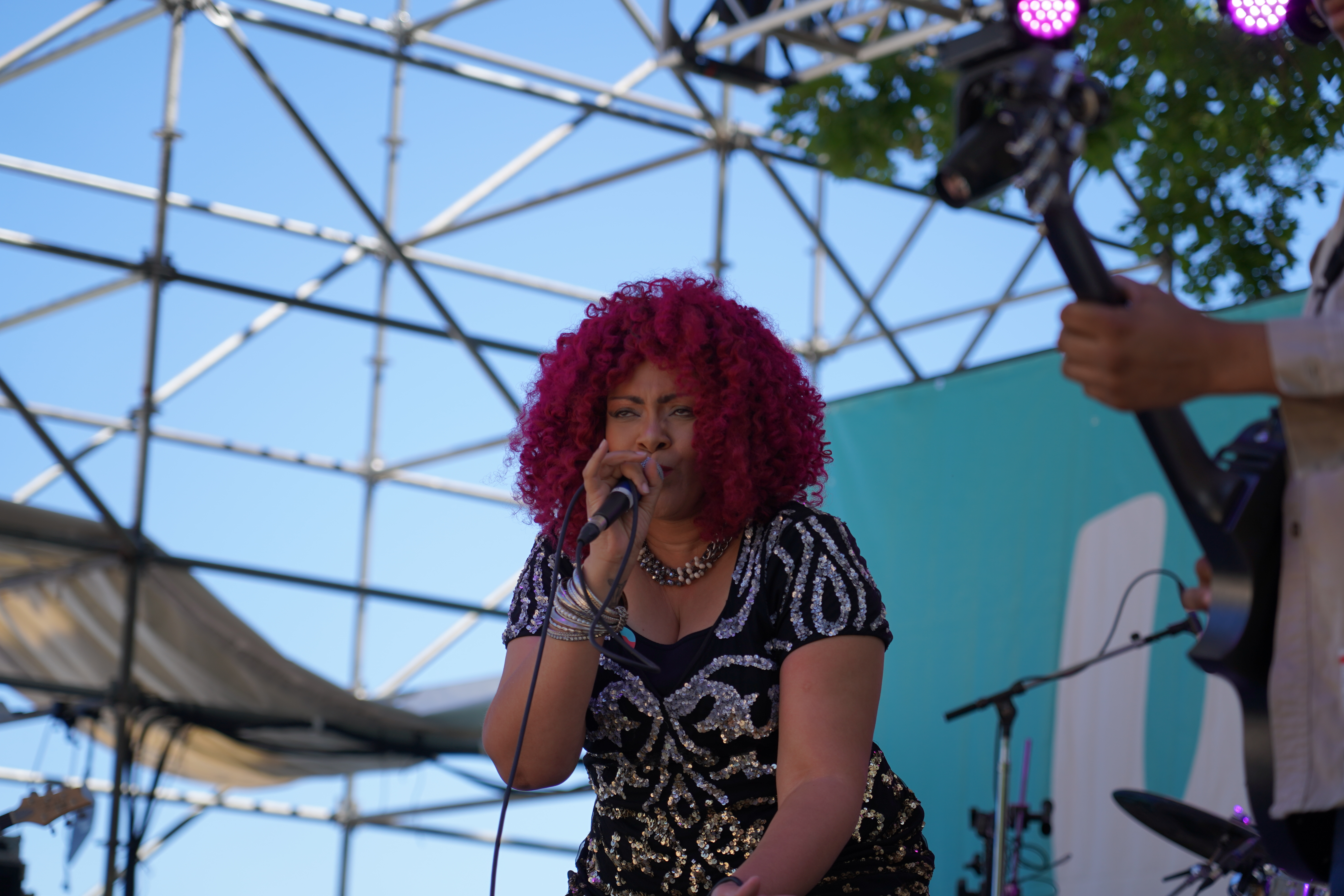 GeminiiDRAGON — Waterfront Blues Festival 2024