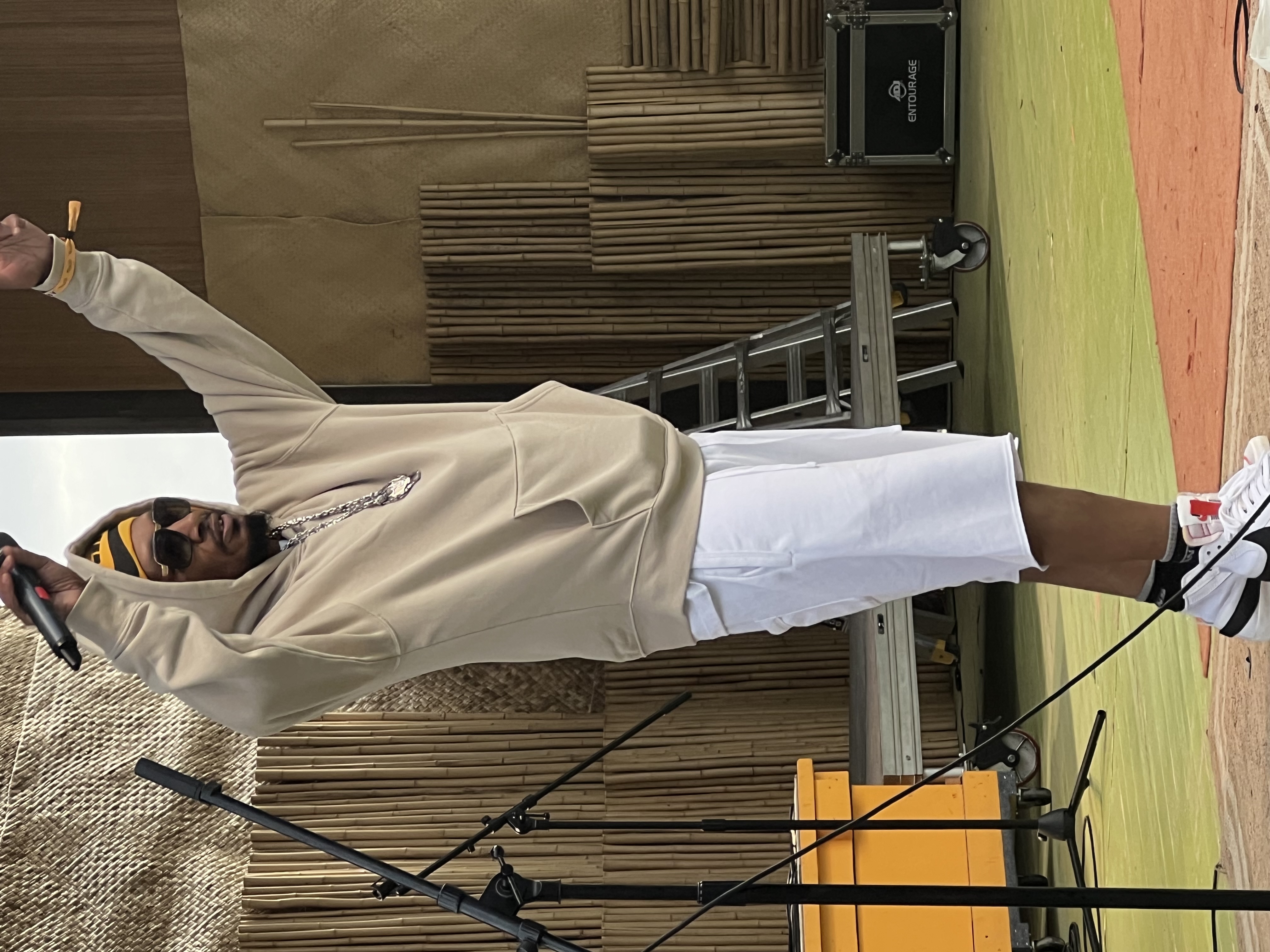 Del the Funky Homosapien — Rise & Vibes Festival 2023