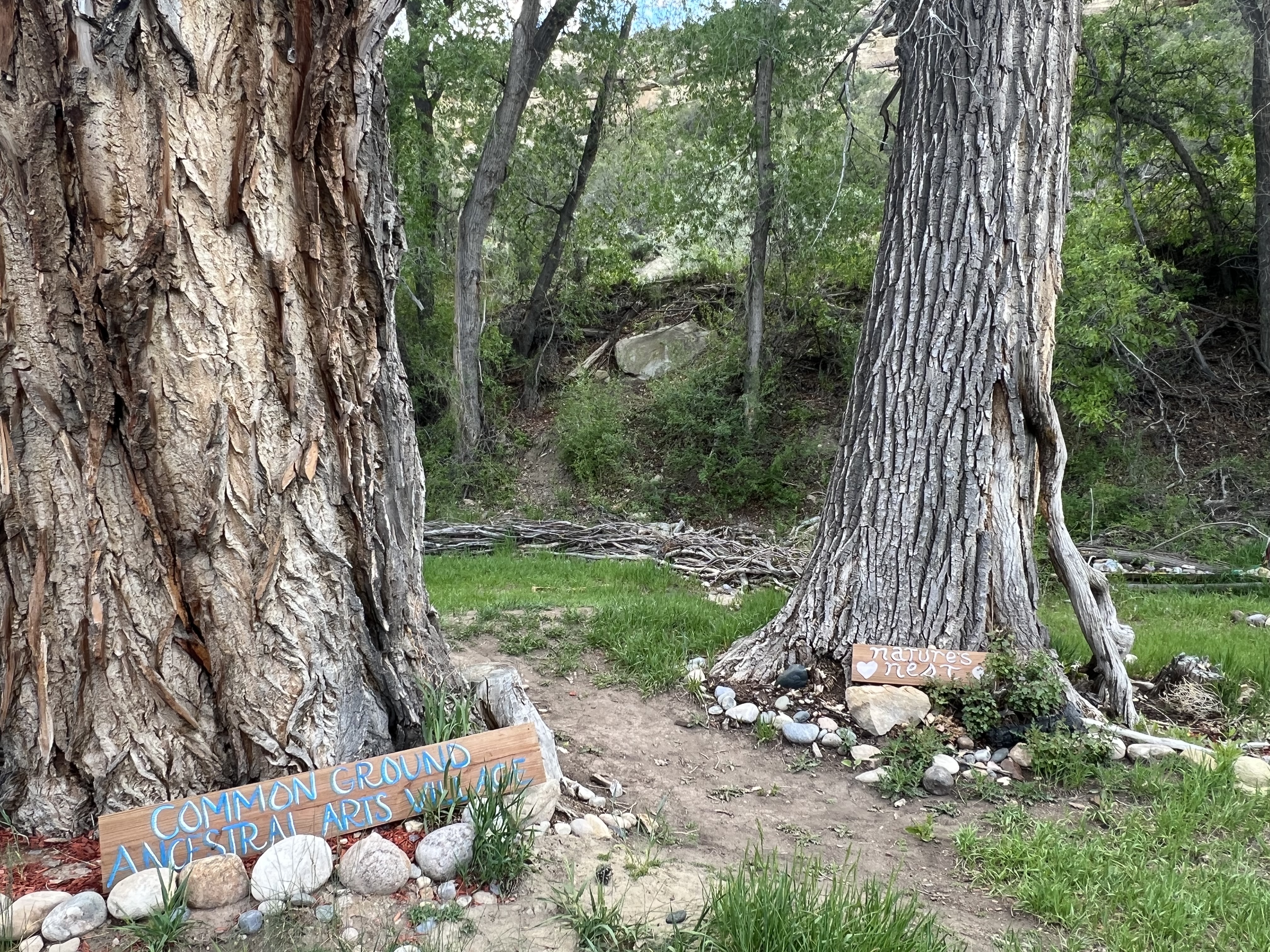 Festival — Rise & Vibes Festival 2023