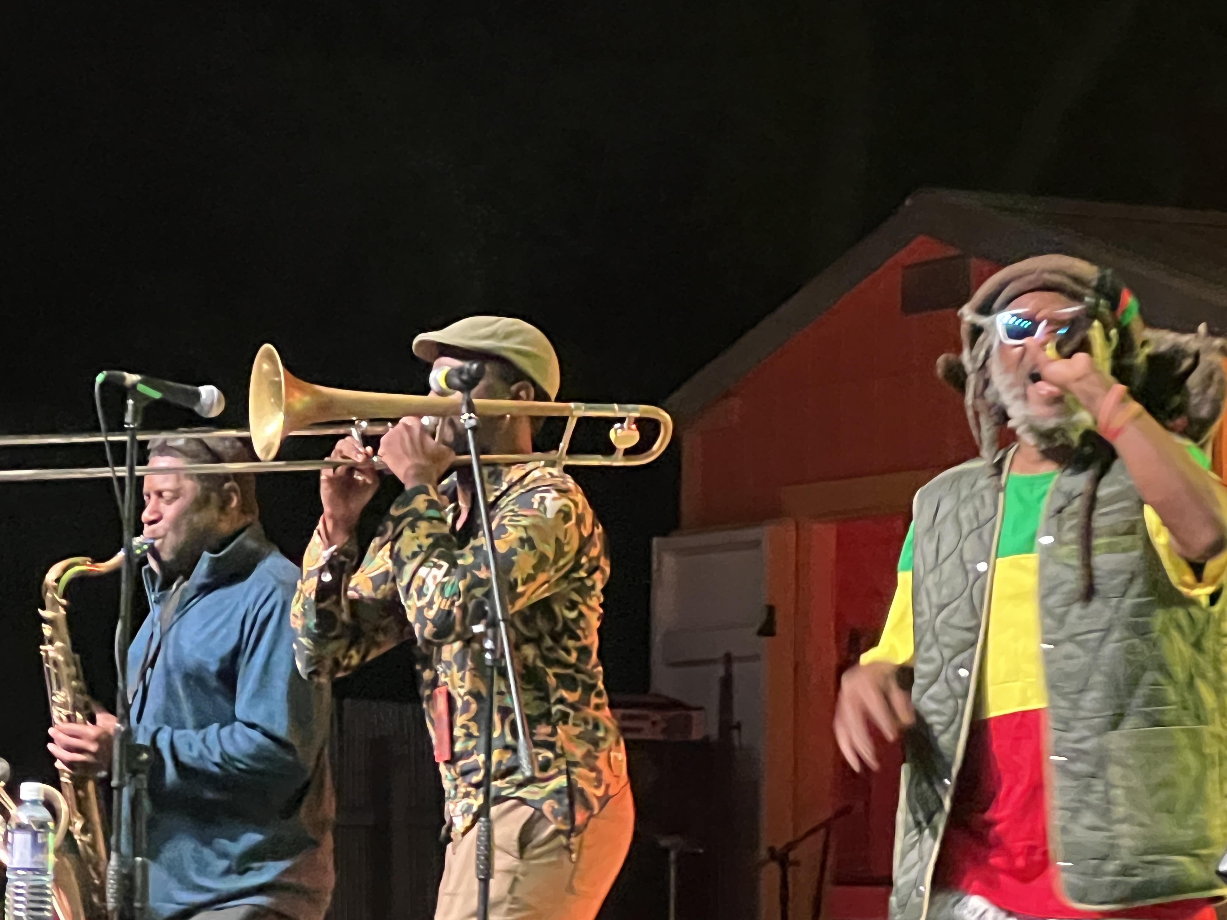 Steel Pulse — Rise & Vibes Festival 2024