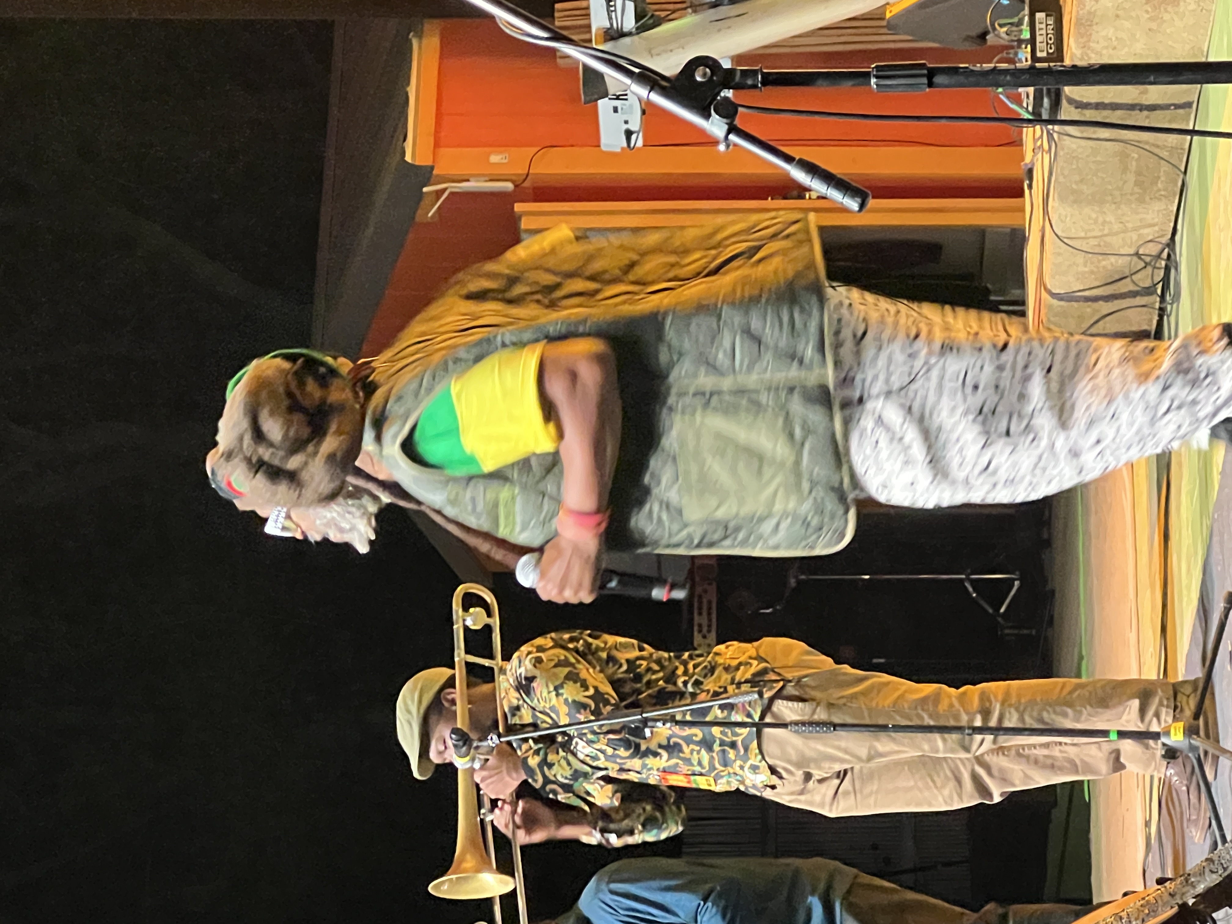 Steel Pulse — Rise & Vibes Festival 2024