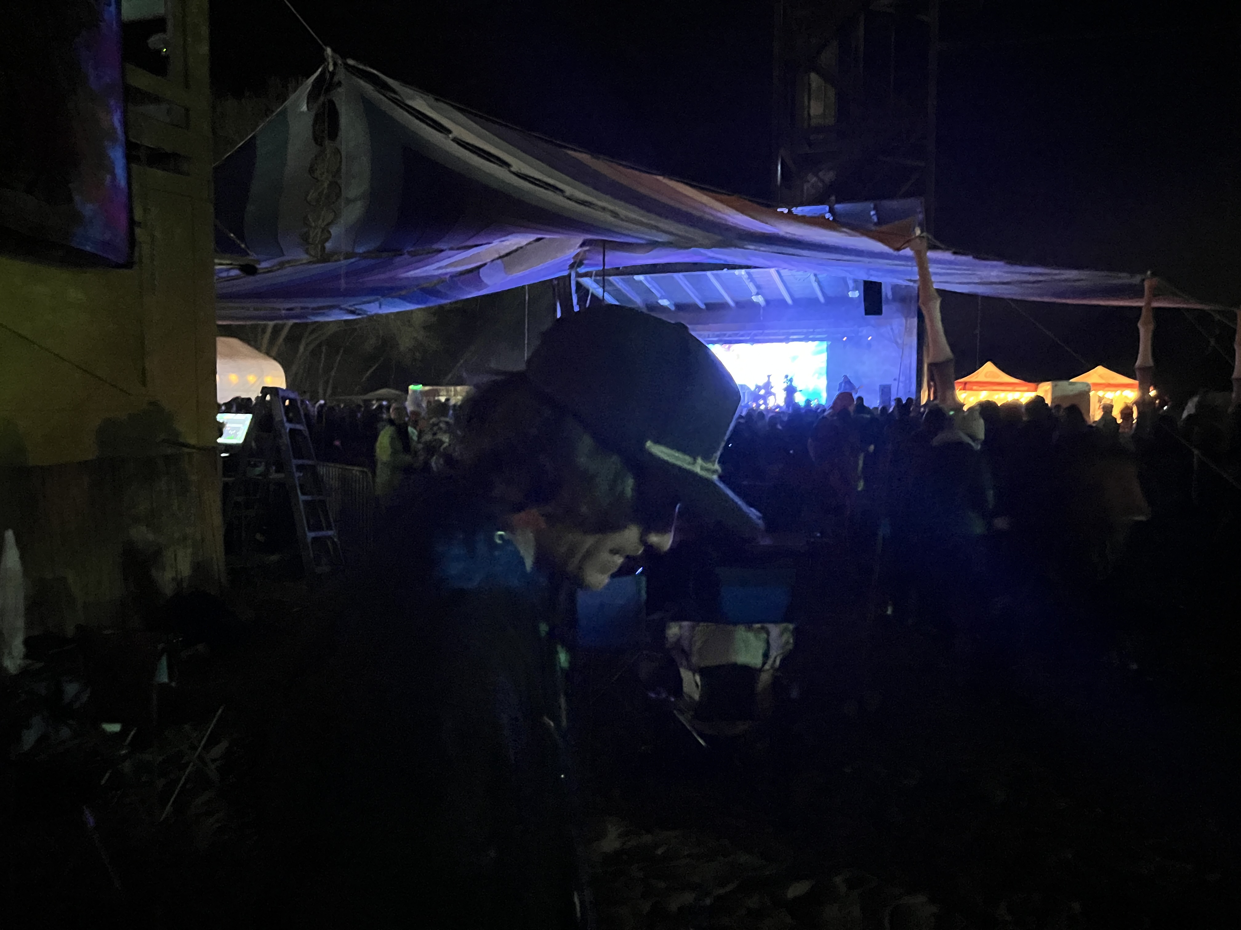 Festival — Rise & Vibes Festival 2024