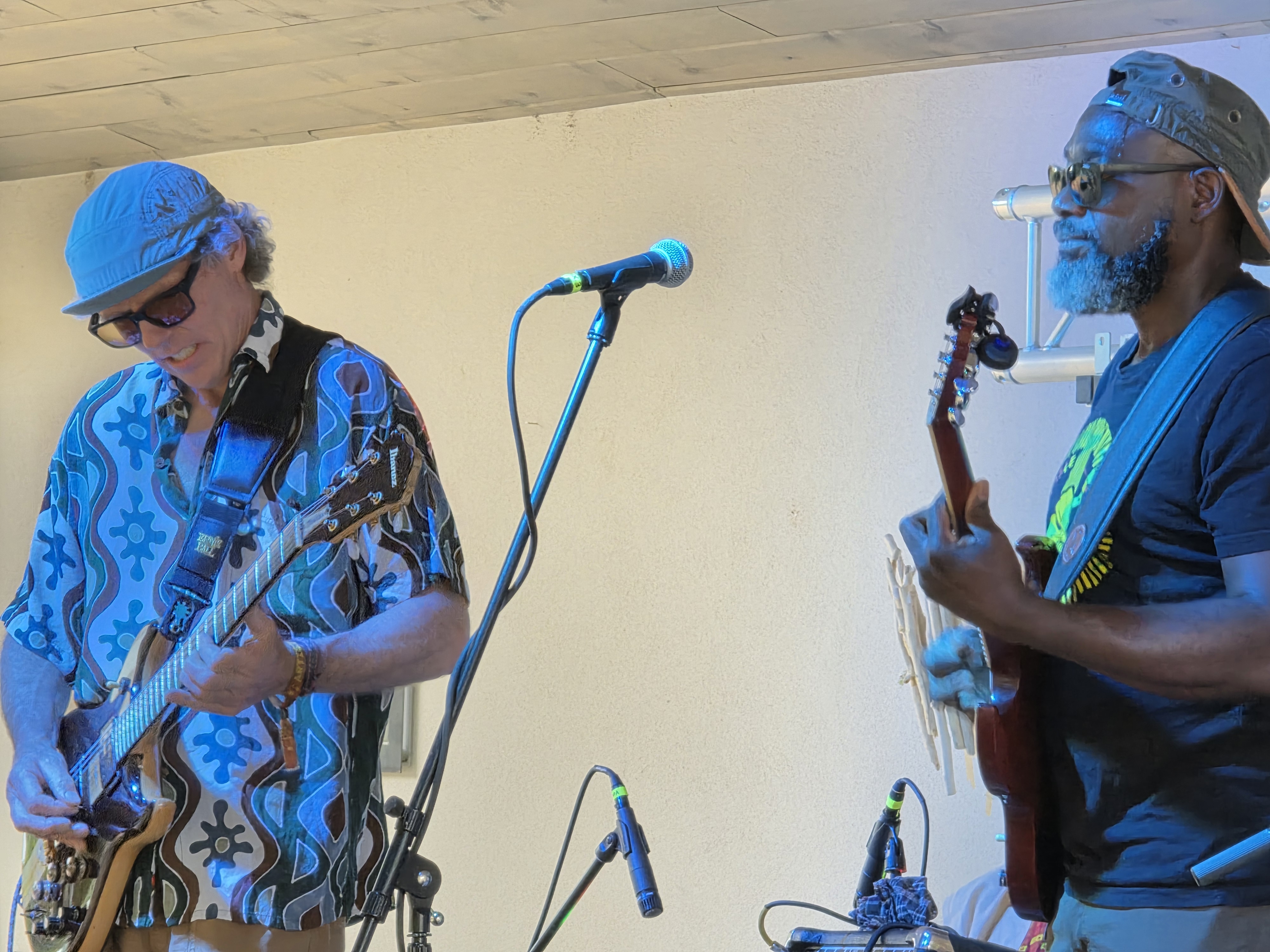 Festival — Rise & Vibes Festival 2025
