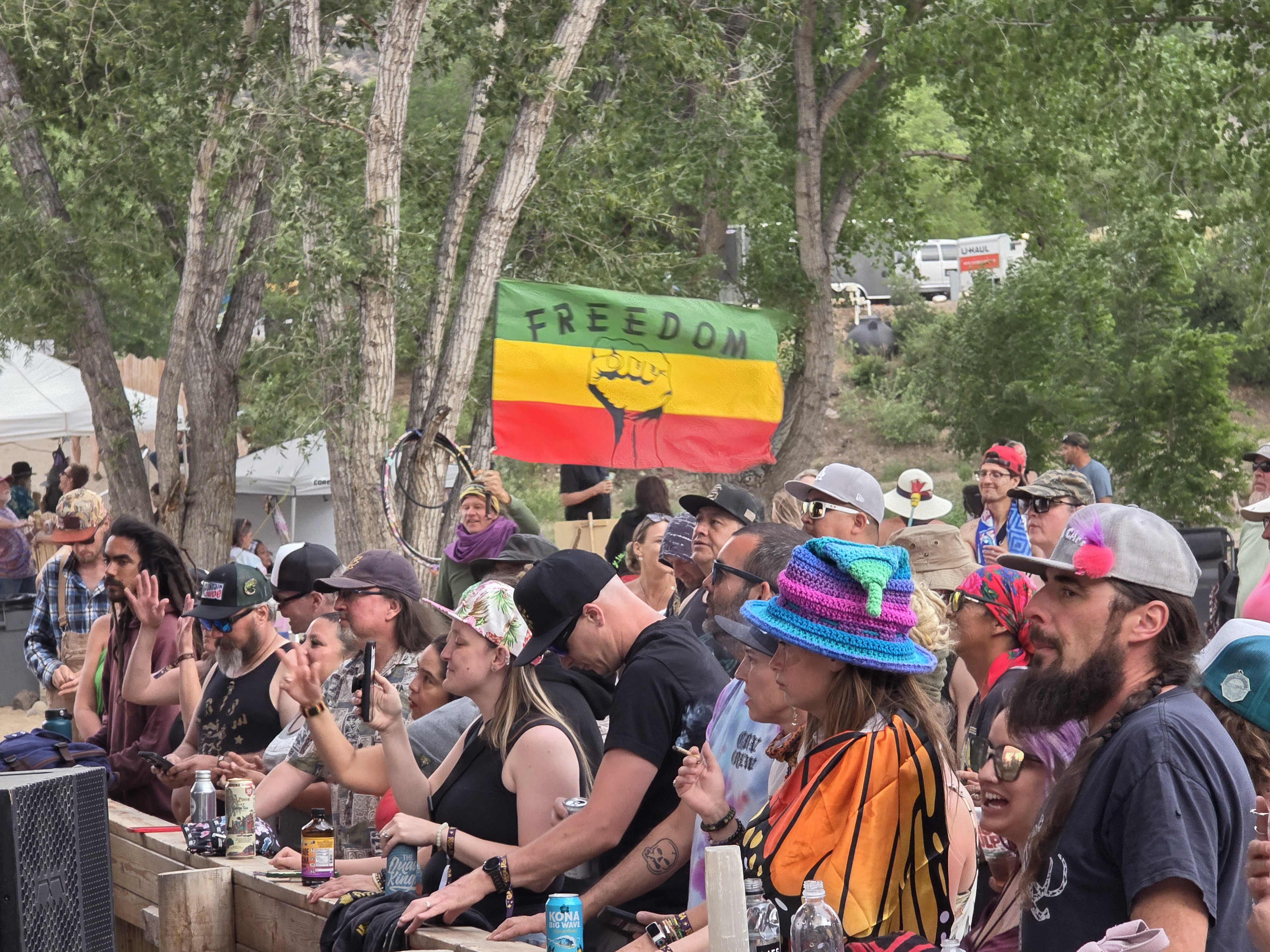 Festival — Rise & Vibes Festival 2025