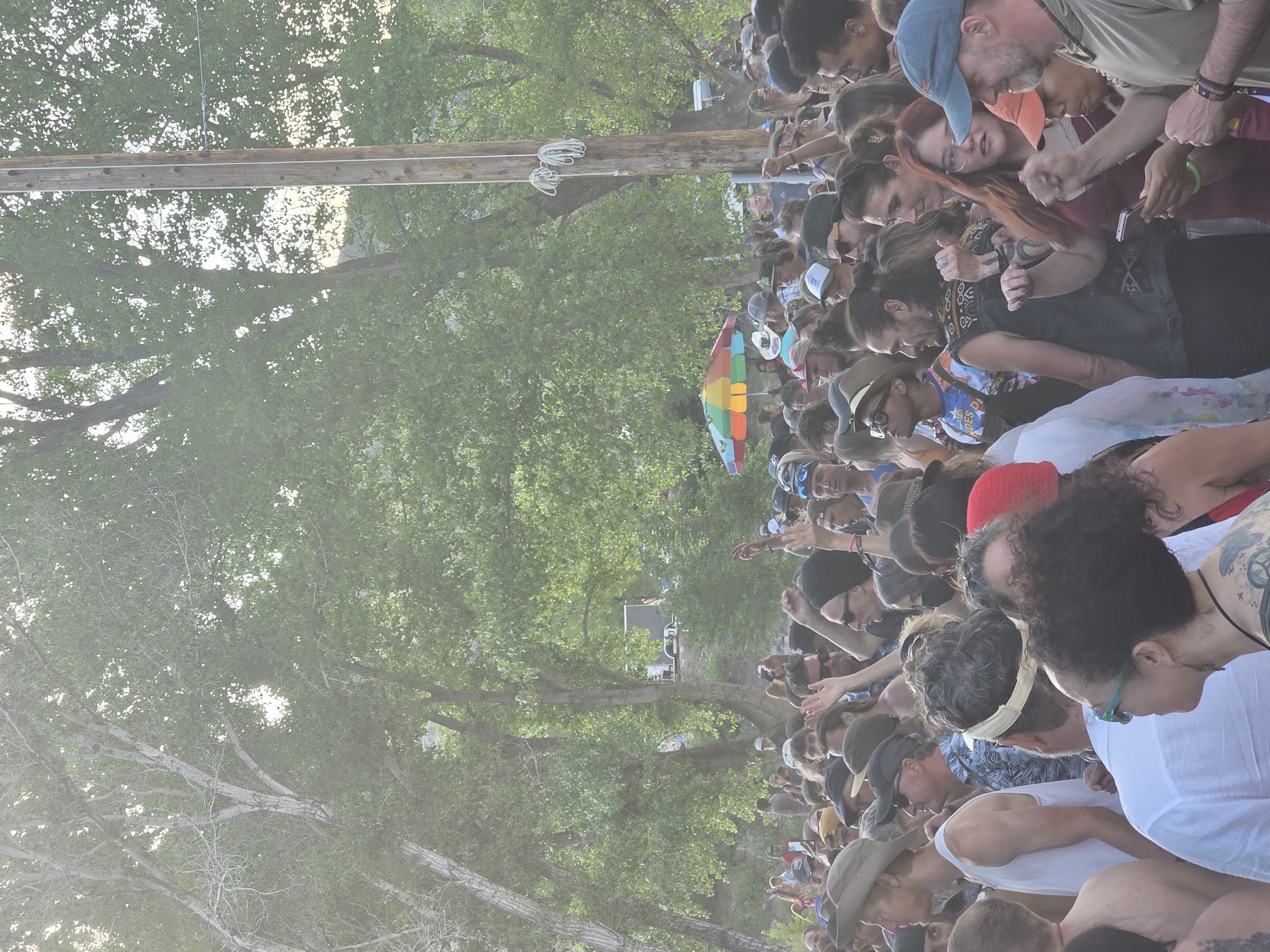 Festival — Rise & Vibes Festival 2025