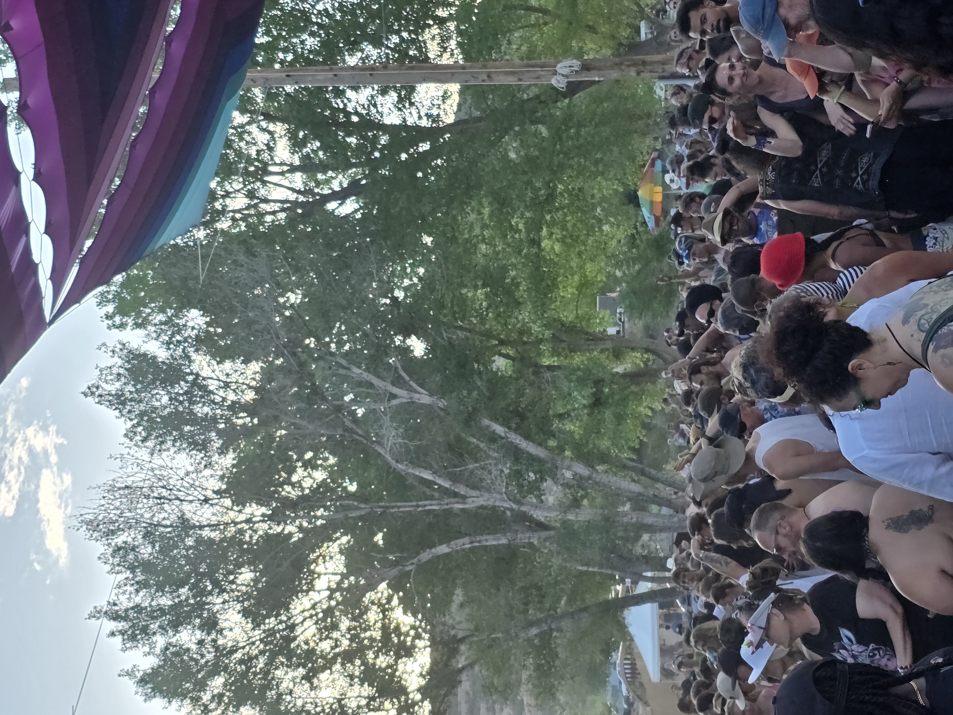 Festival — Rise & Vibes Festival 2025
