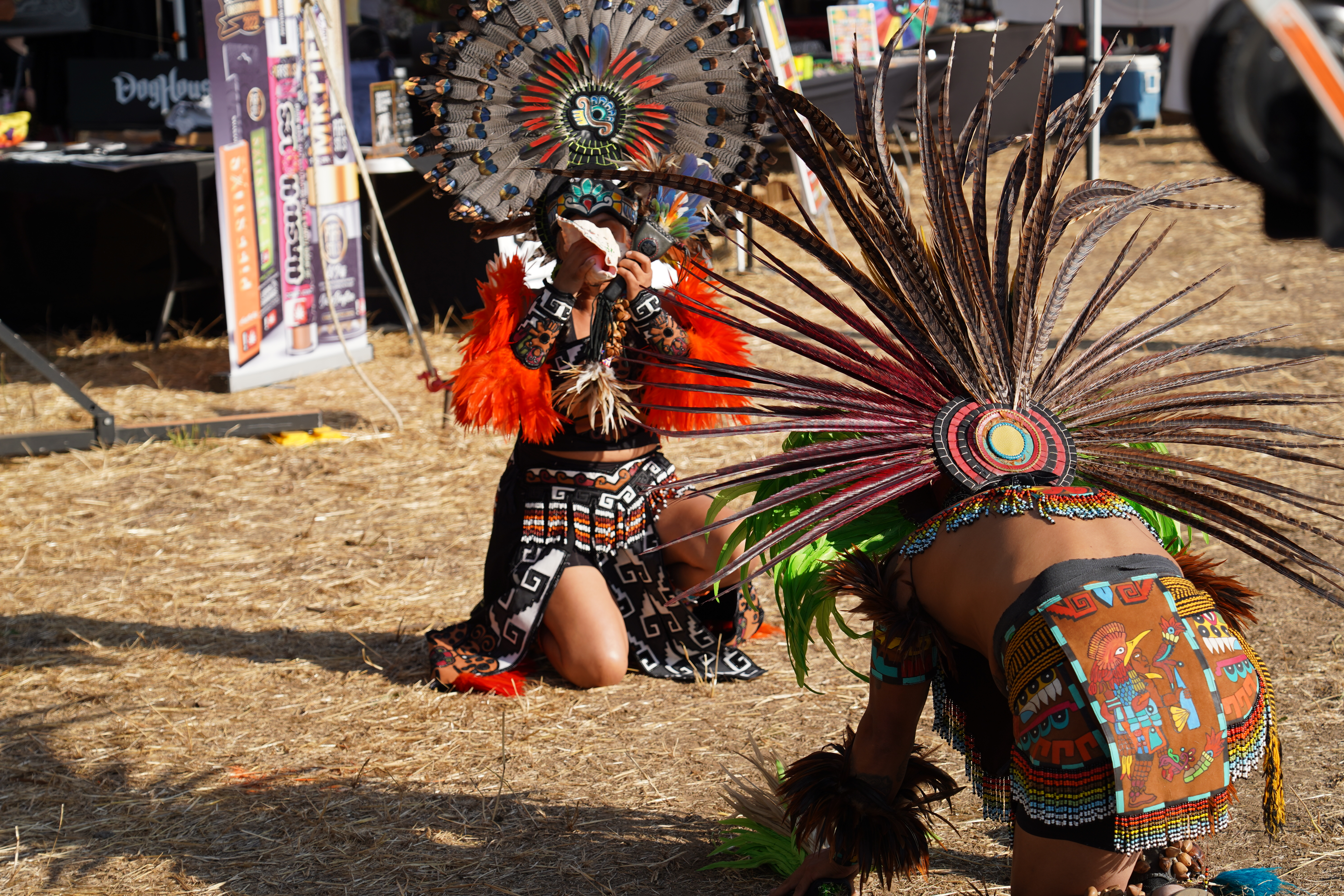 Pedro World Citizen — Oregon Reggae Festival 2024