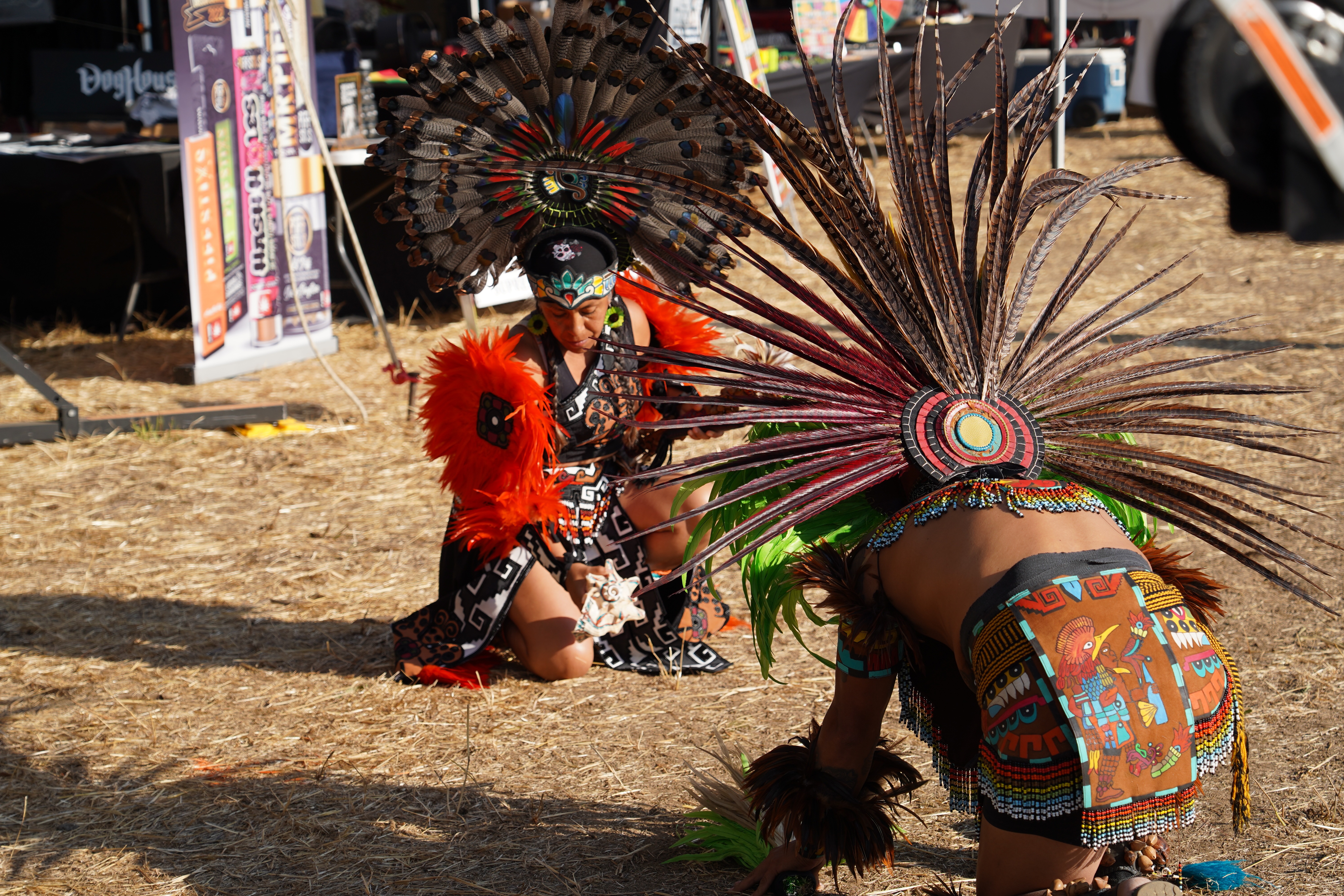 Pedro World Citizen — Oregon Reggae Festival 2024