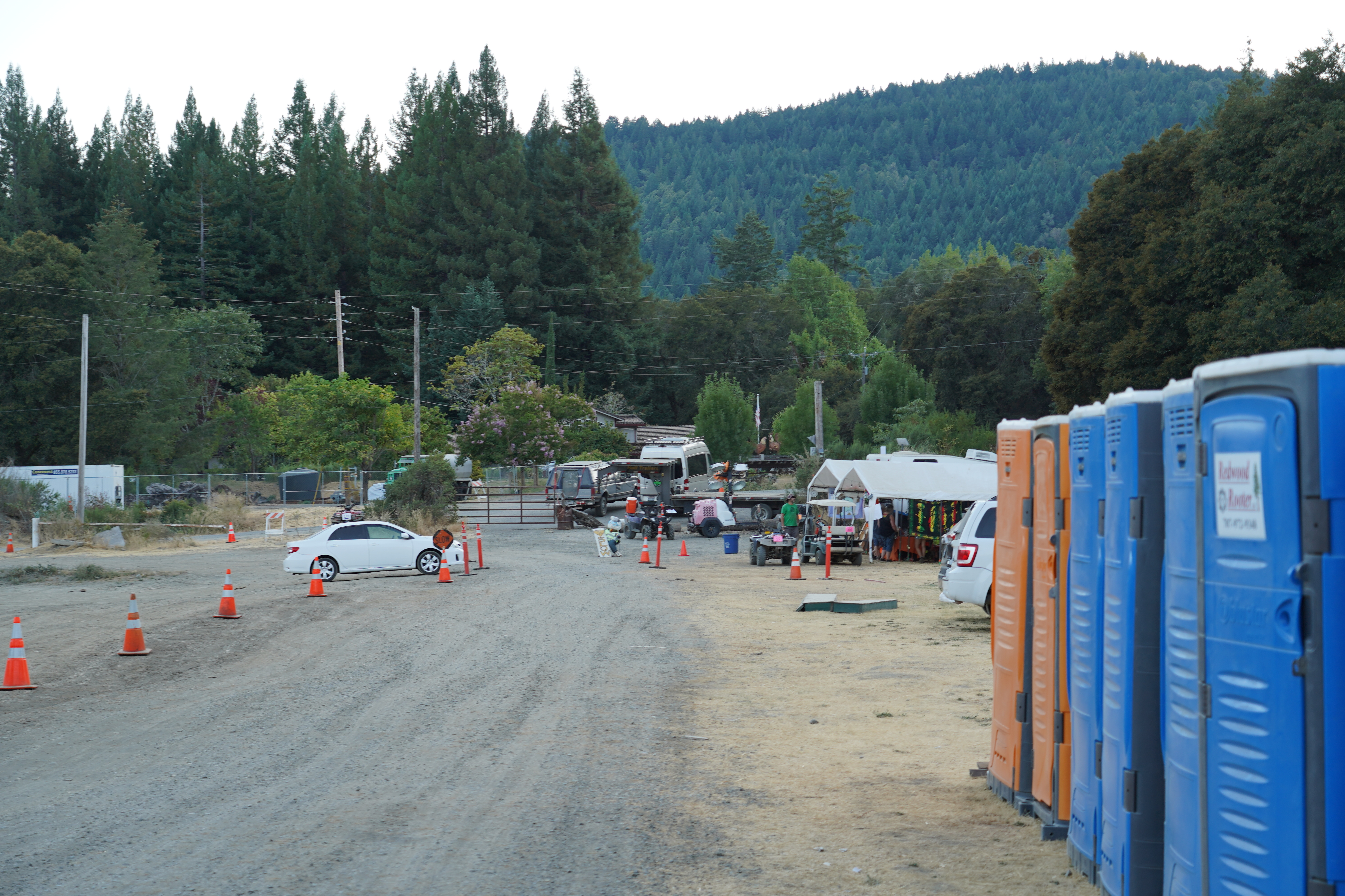 Festival — Oregon Reggae Festival 2024