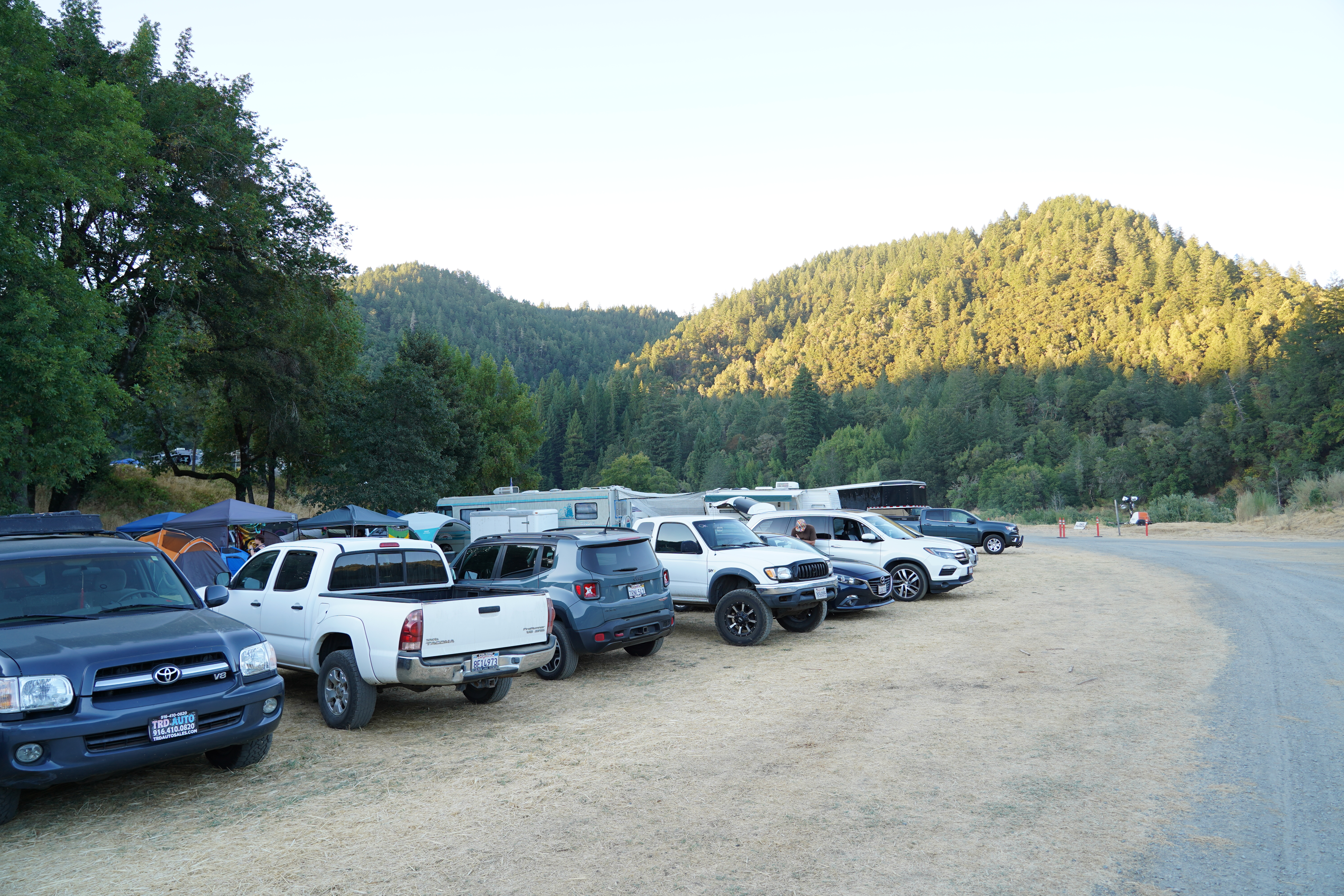 Festival — Oregon Reggae Festival 2024
