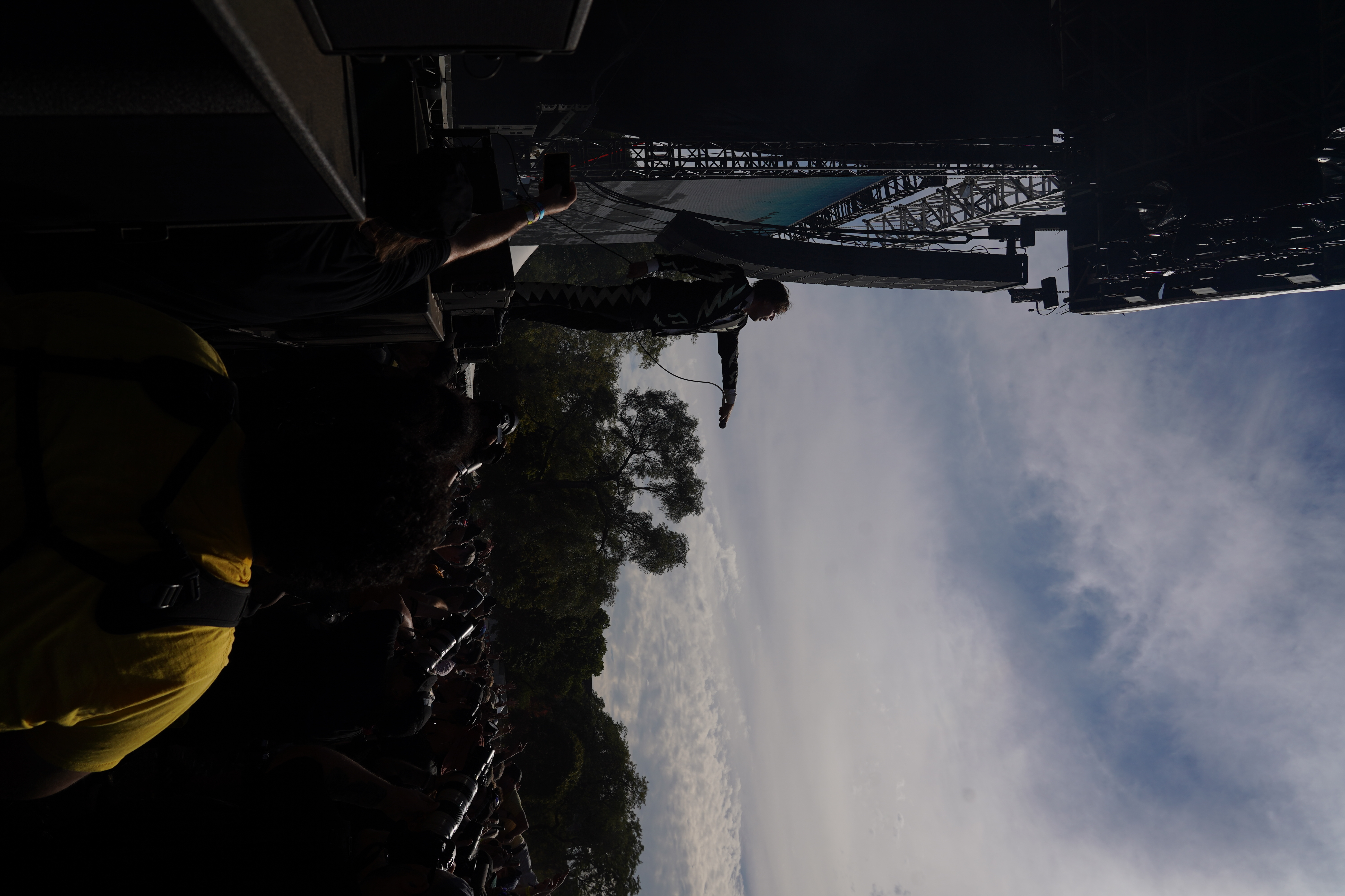 The Hives