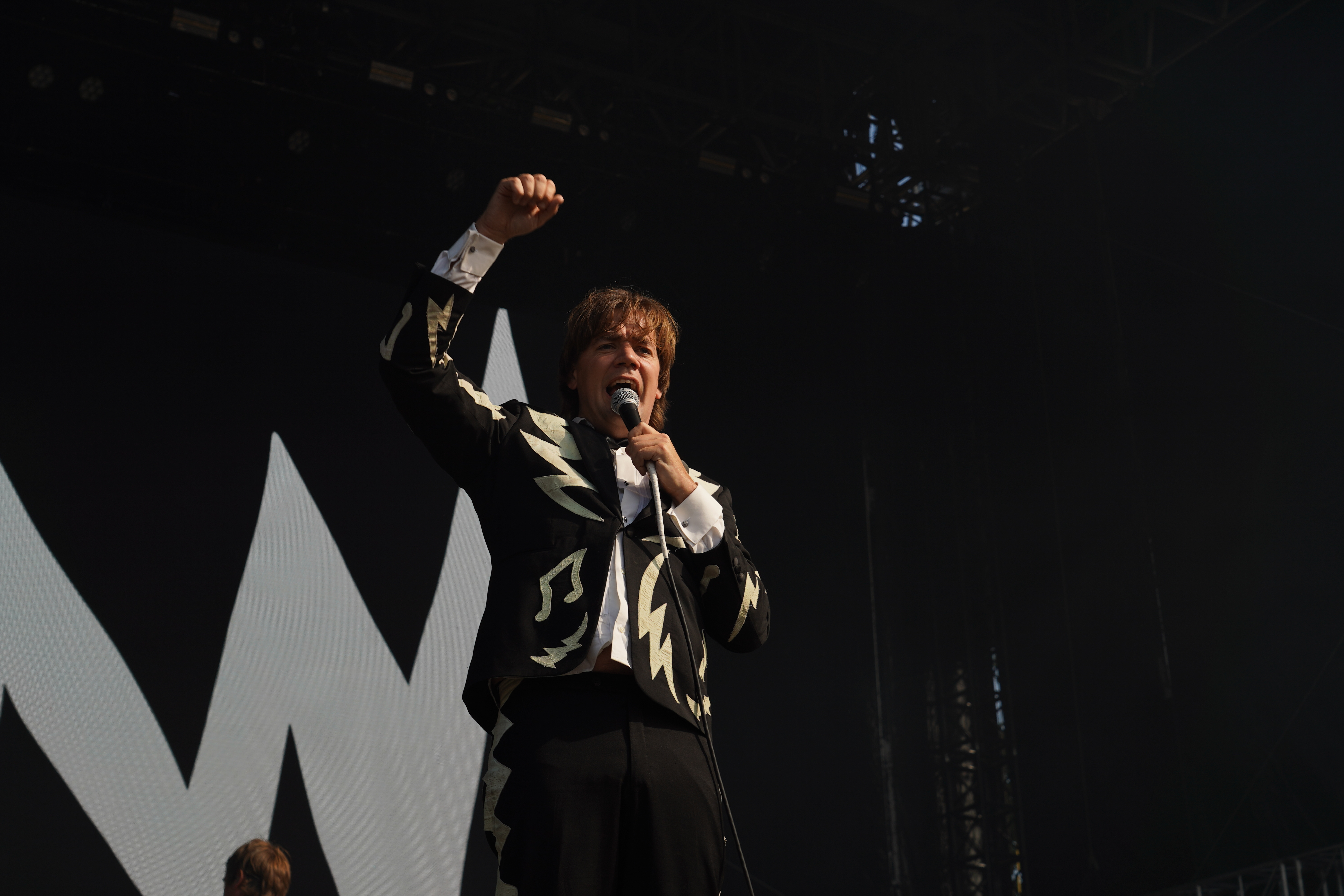 The Hives